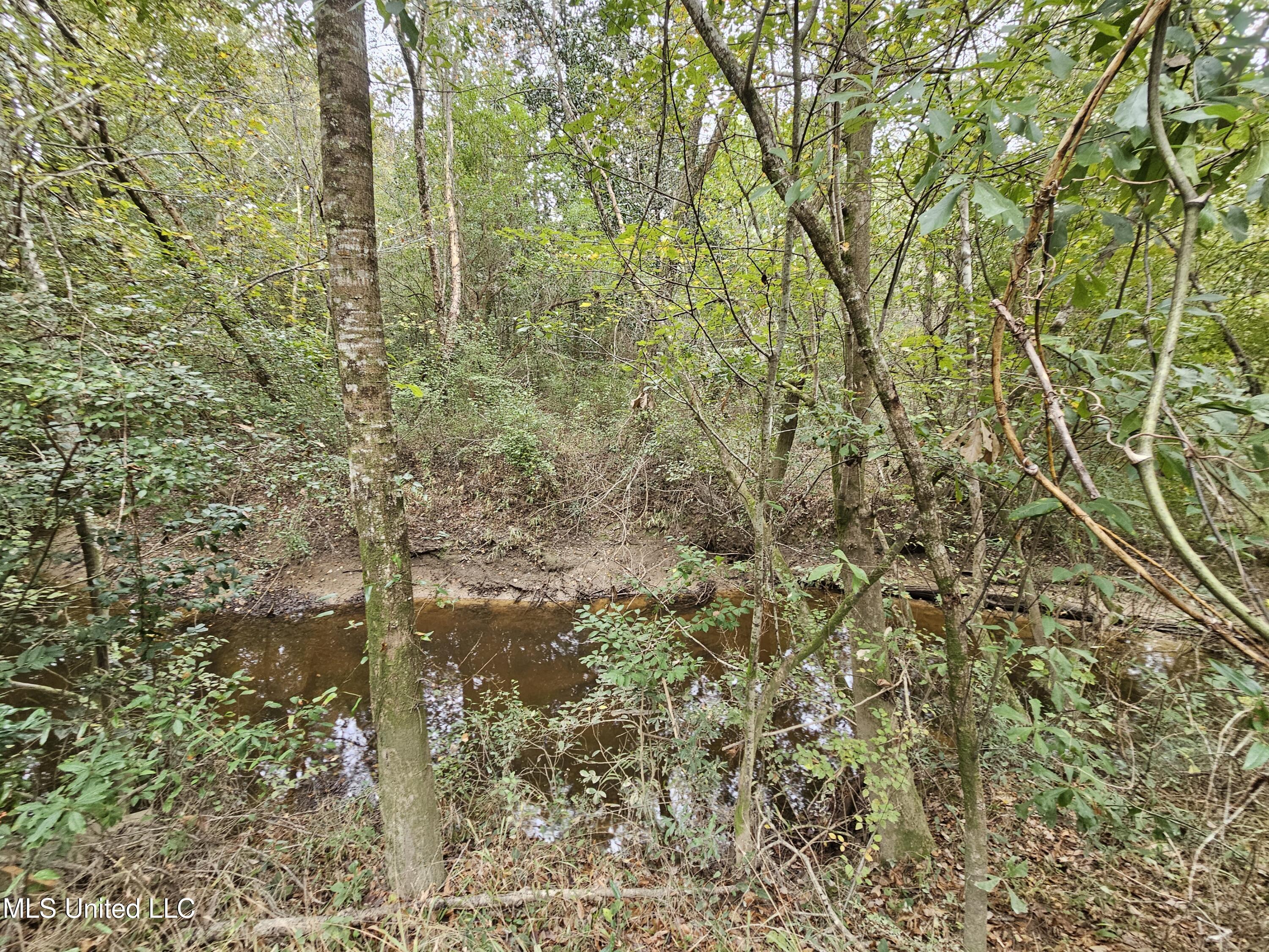 River Road Property Photo 9
