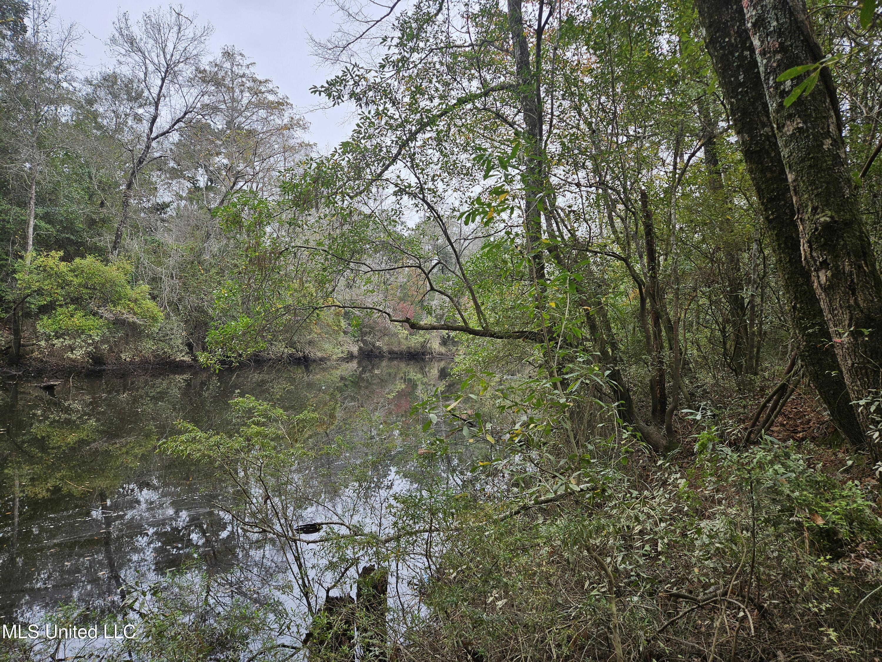 River Road Property Photo 10