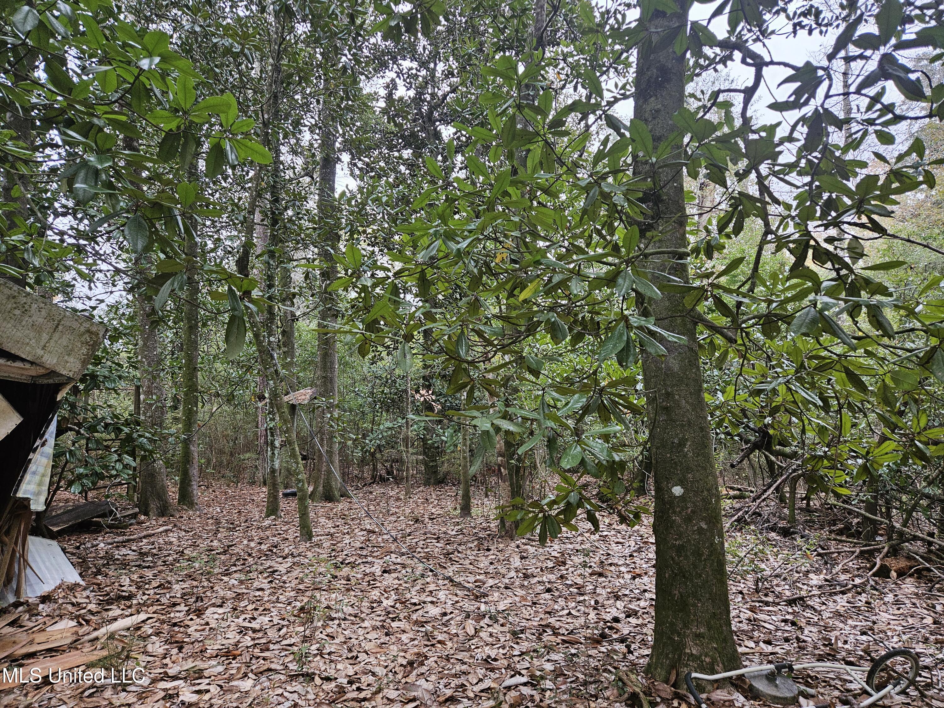 River Road Property Photo 11