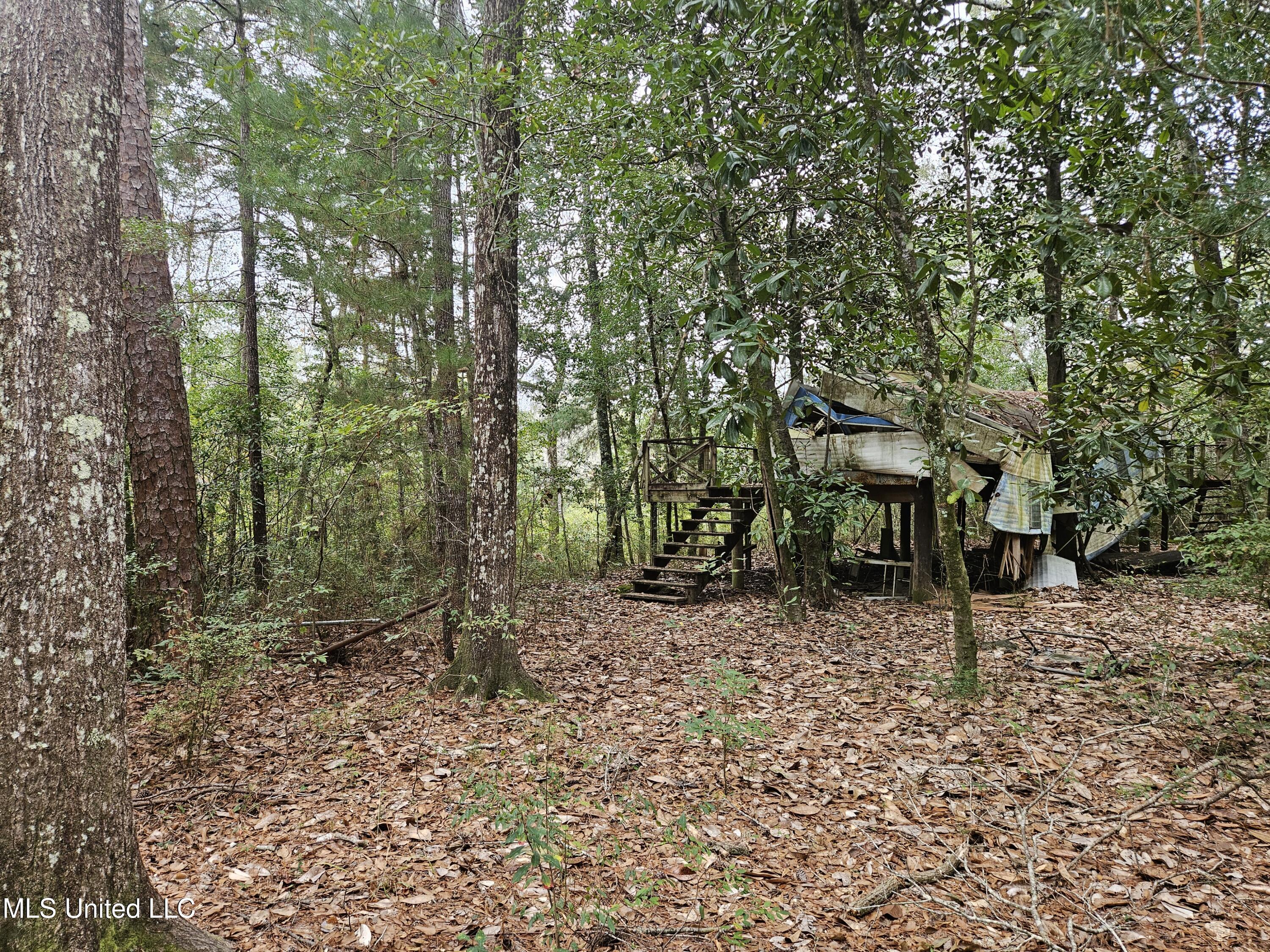 River Road Property Photo 12