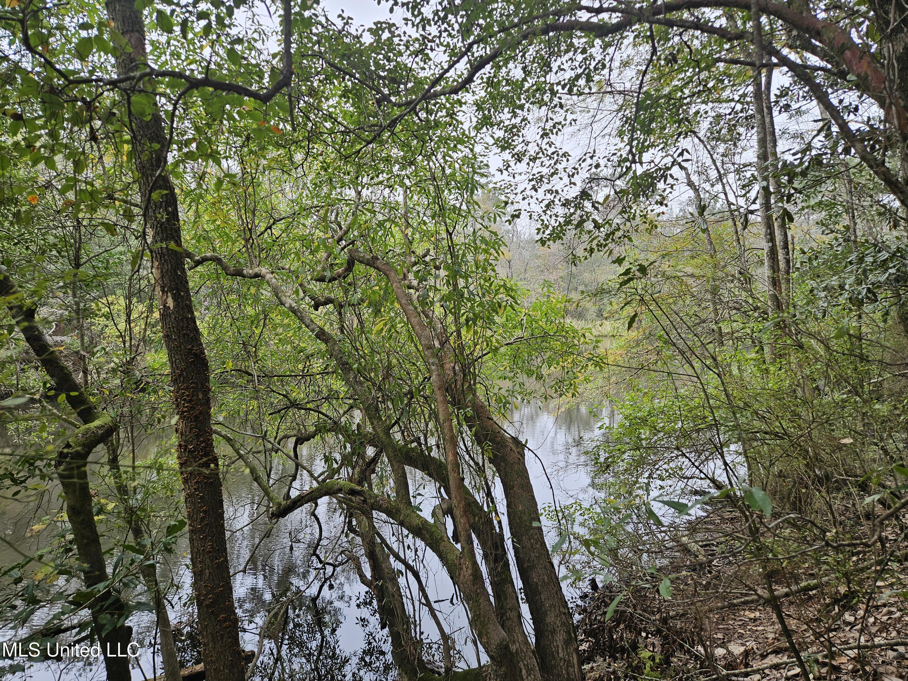 River Road Property Photo 15