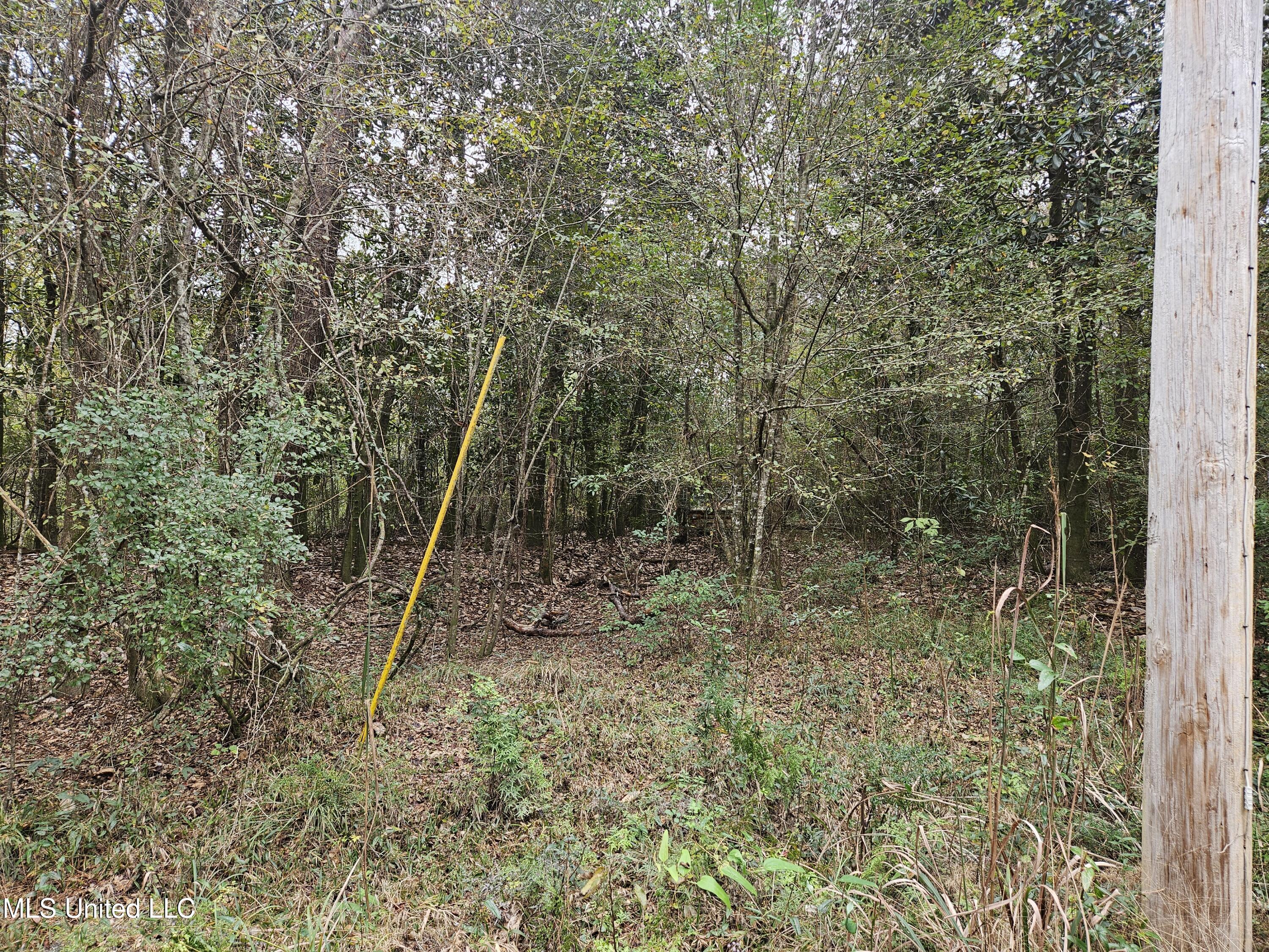 River Road Property Photo 16