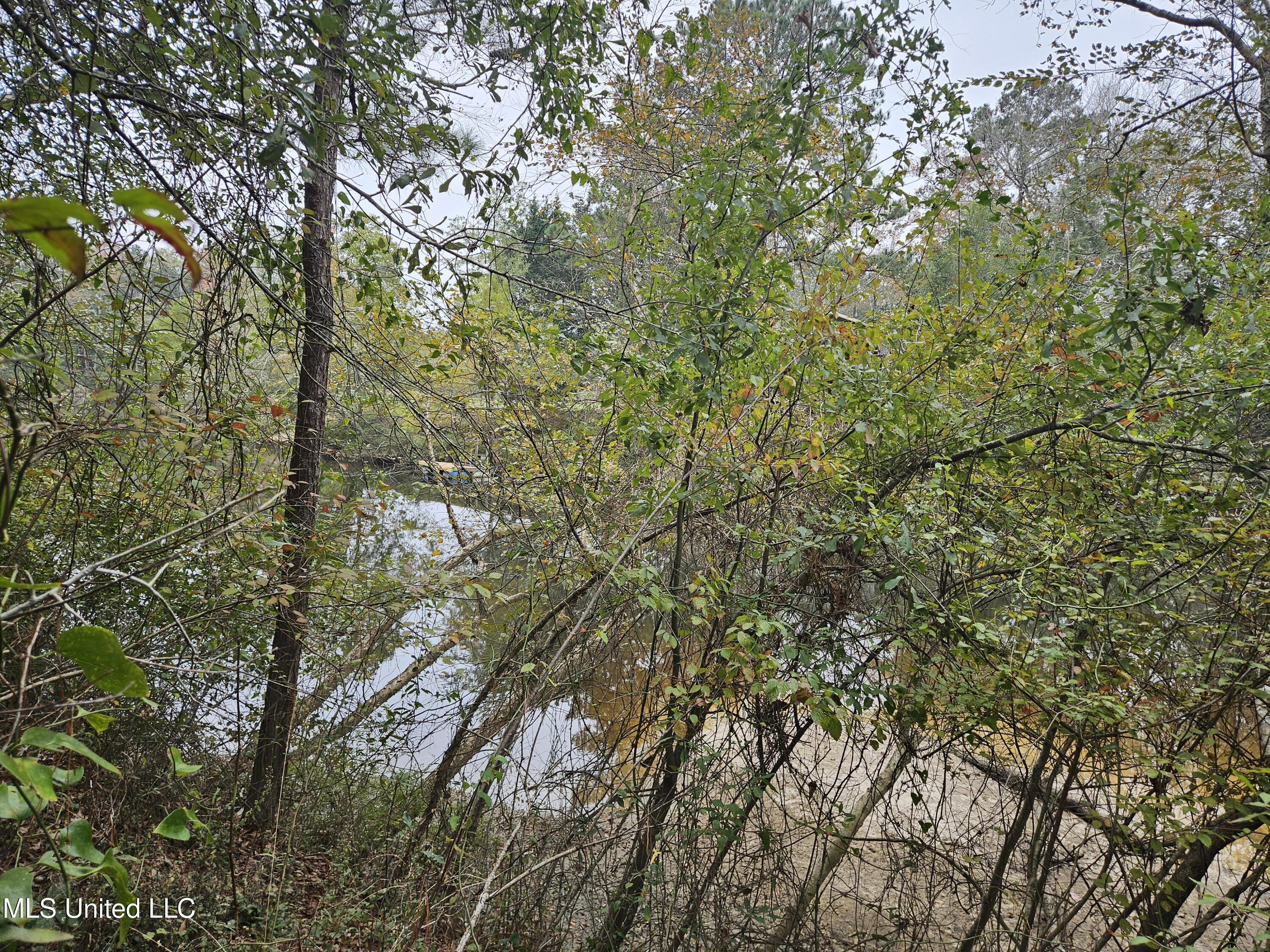 River Road Property Photo 17