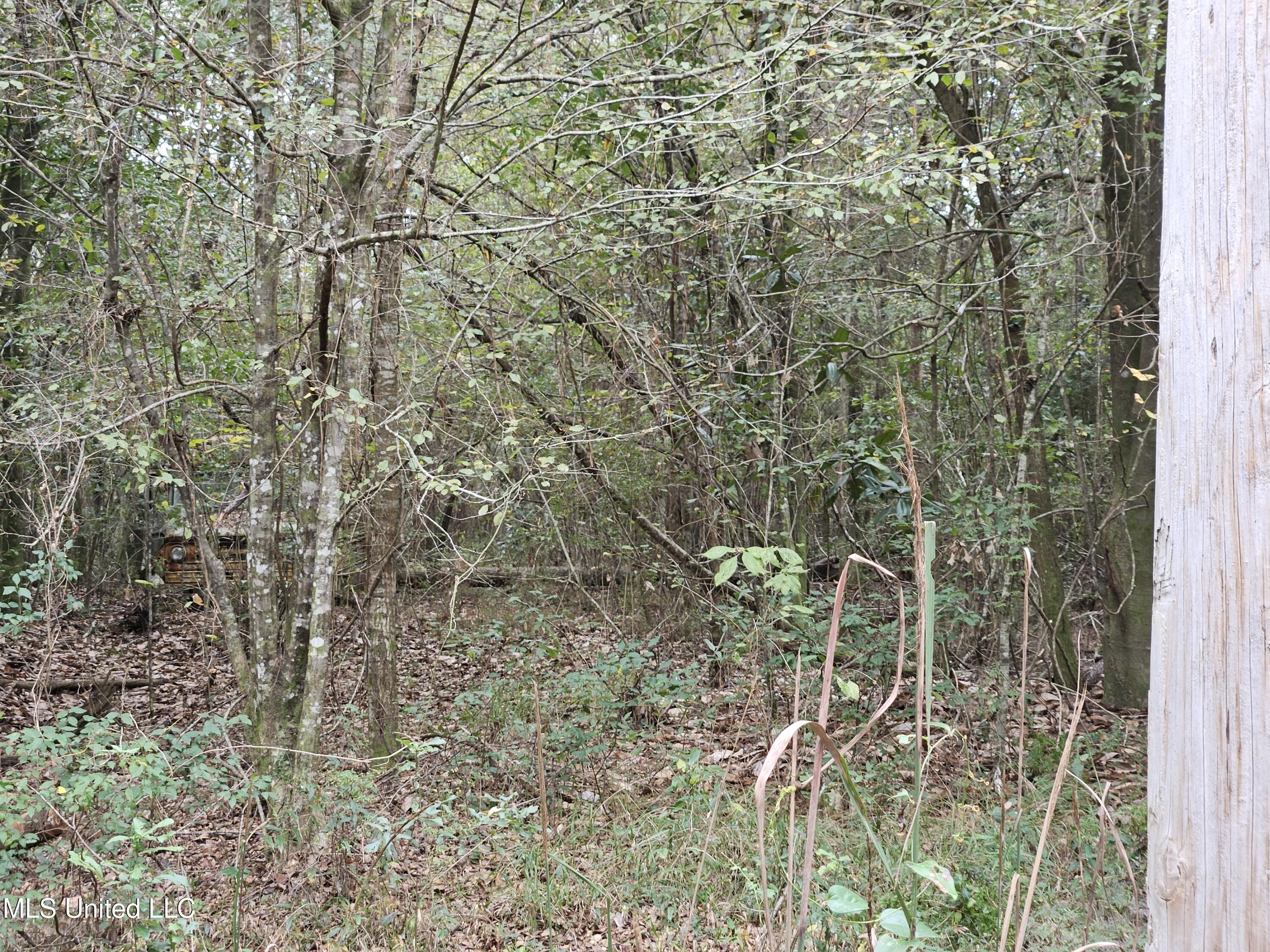 River Road Property Photo 18