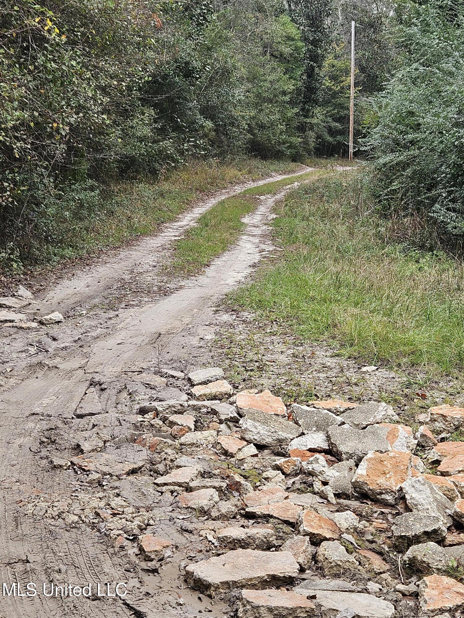 River Road Property Photo 19