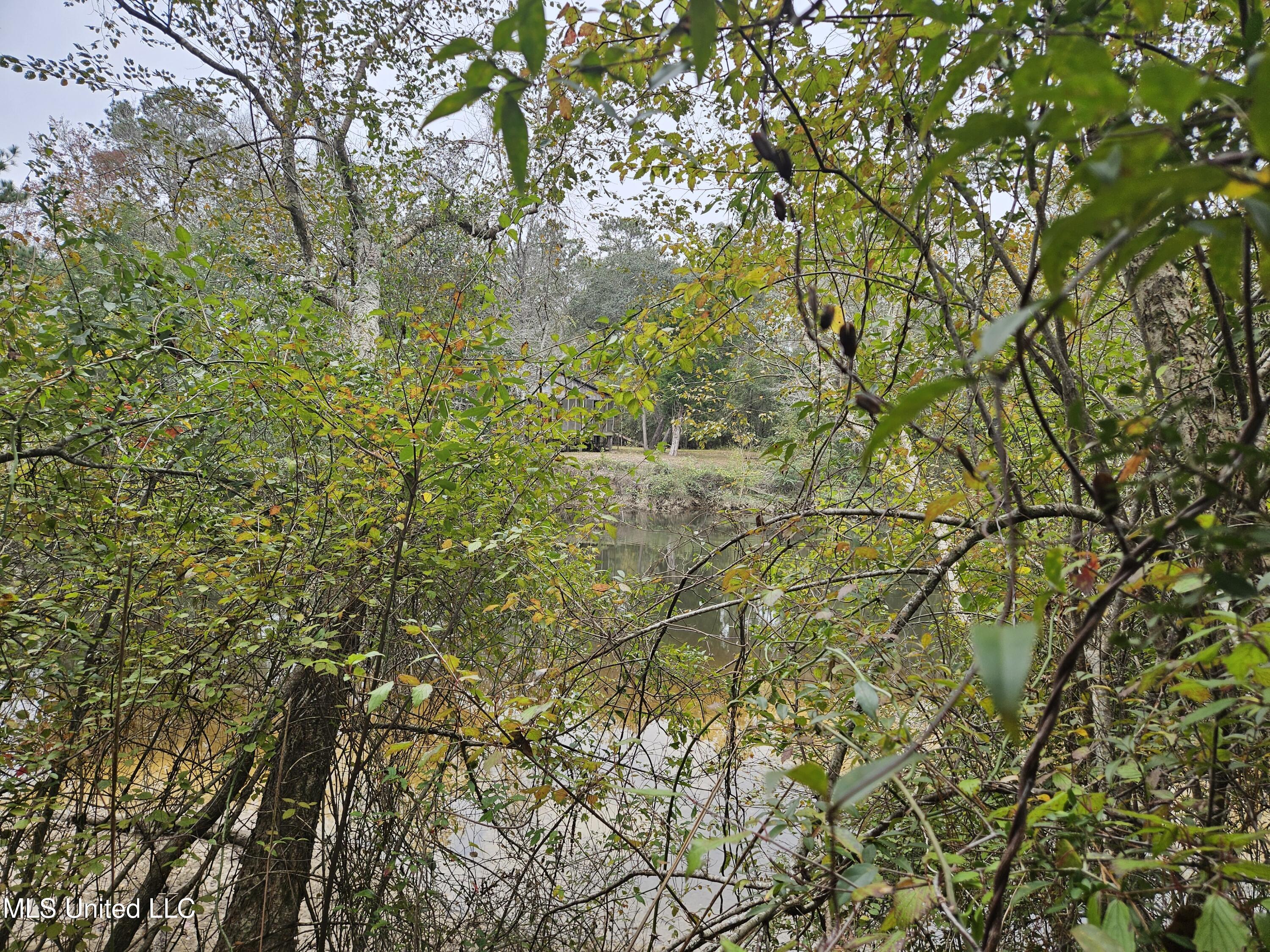 River Road Property Photo 20