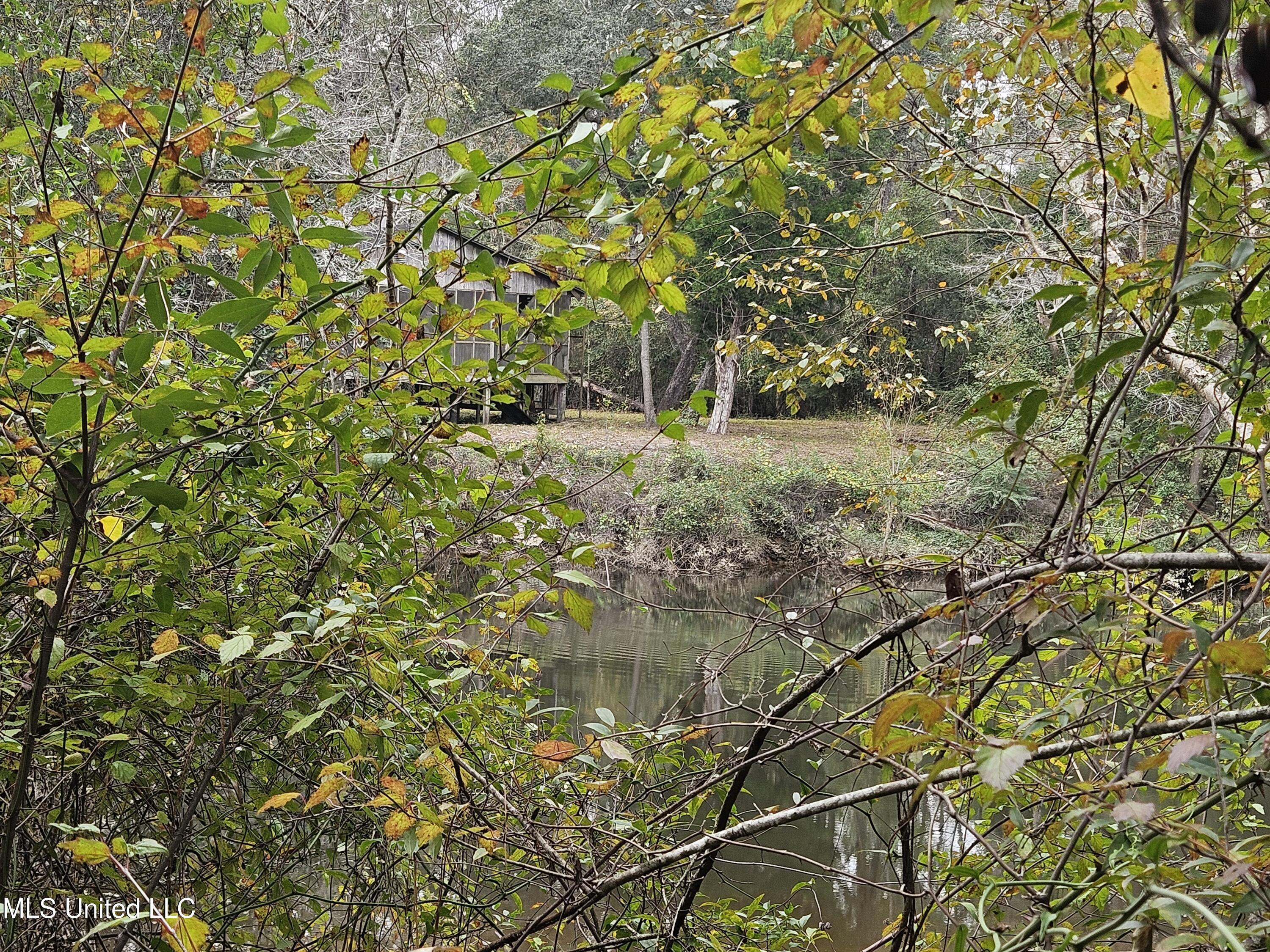 River Road Property Photo 21