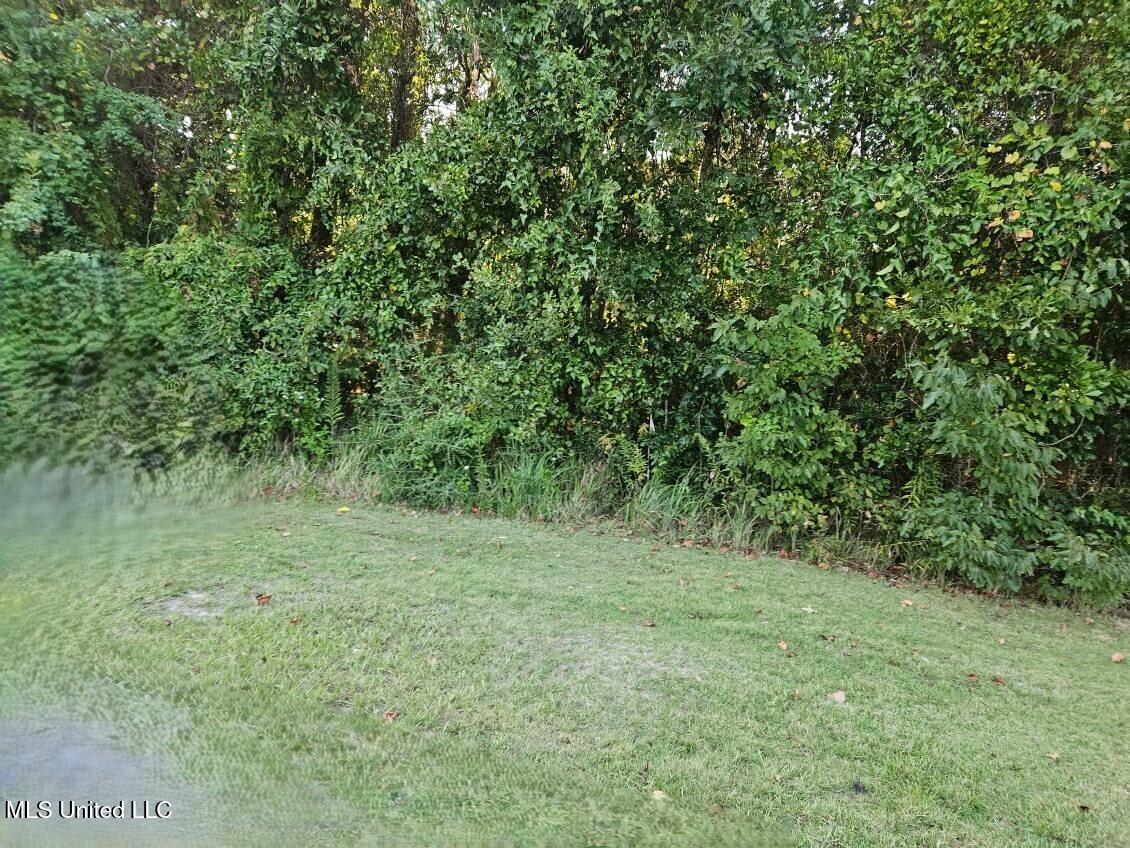 0 Sandpiper Lane Property Photo 2