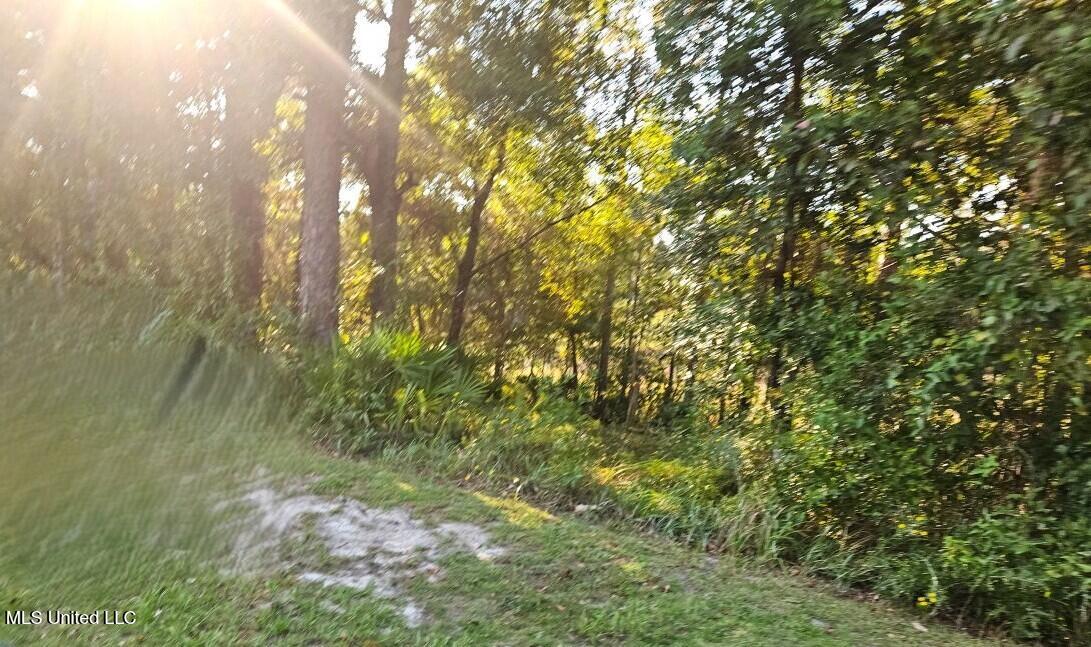 0 Sandpiper Lane Property Photo 3