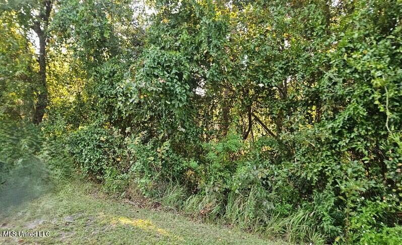 0 Sandpiper Lane Property Photo 4