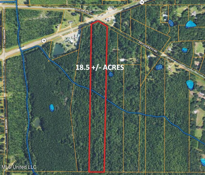 Highway 16 Property Photo 2