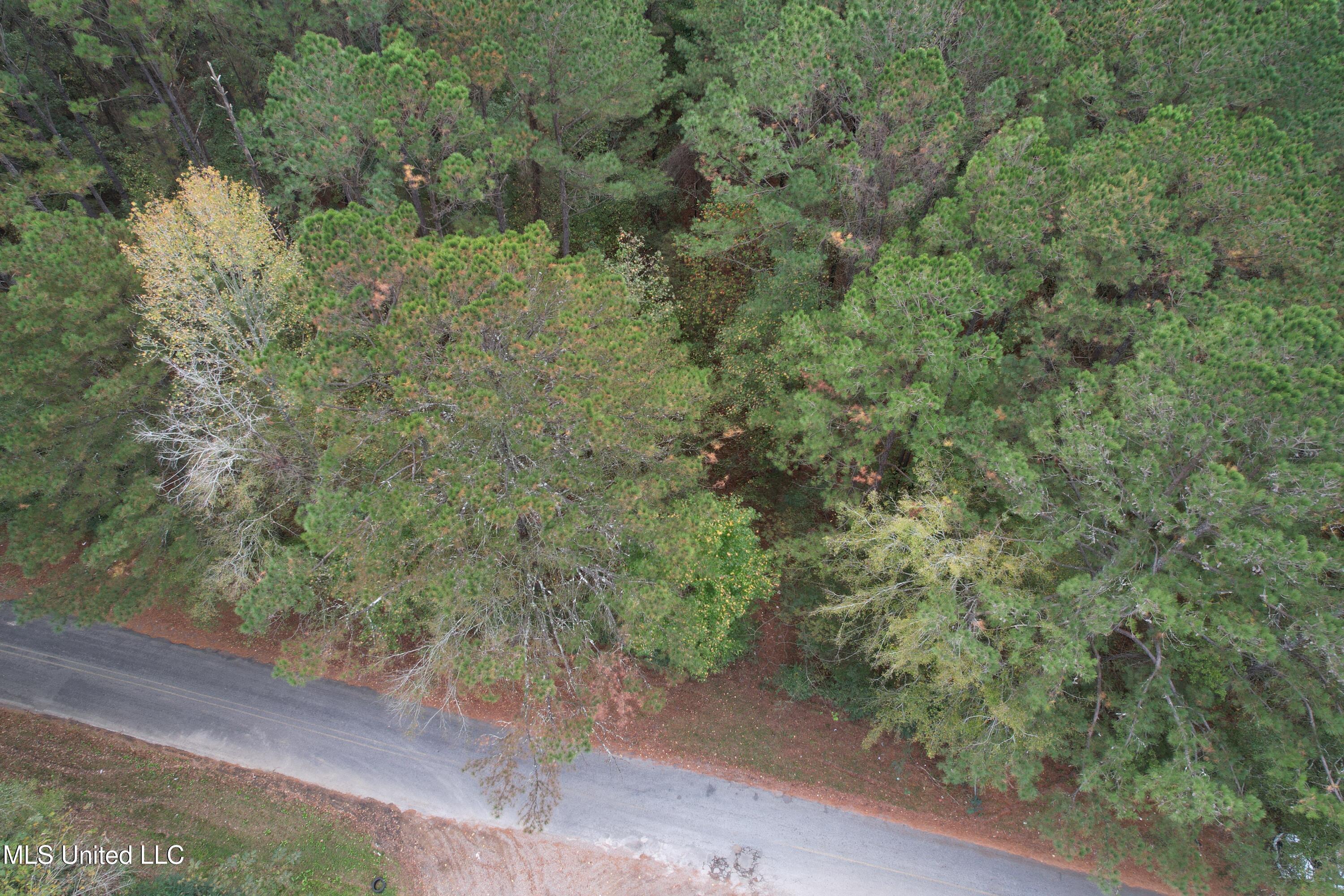 Highway 16 Property Photo 3