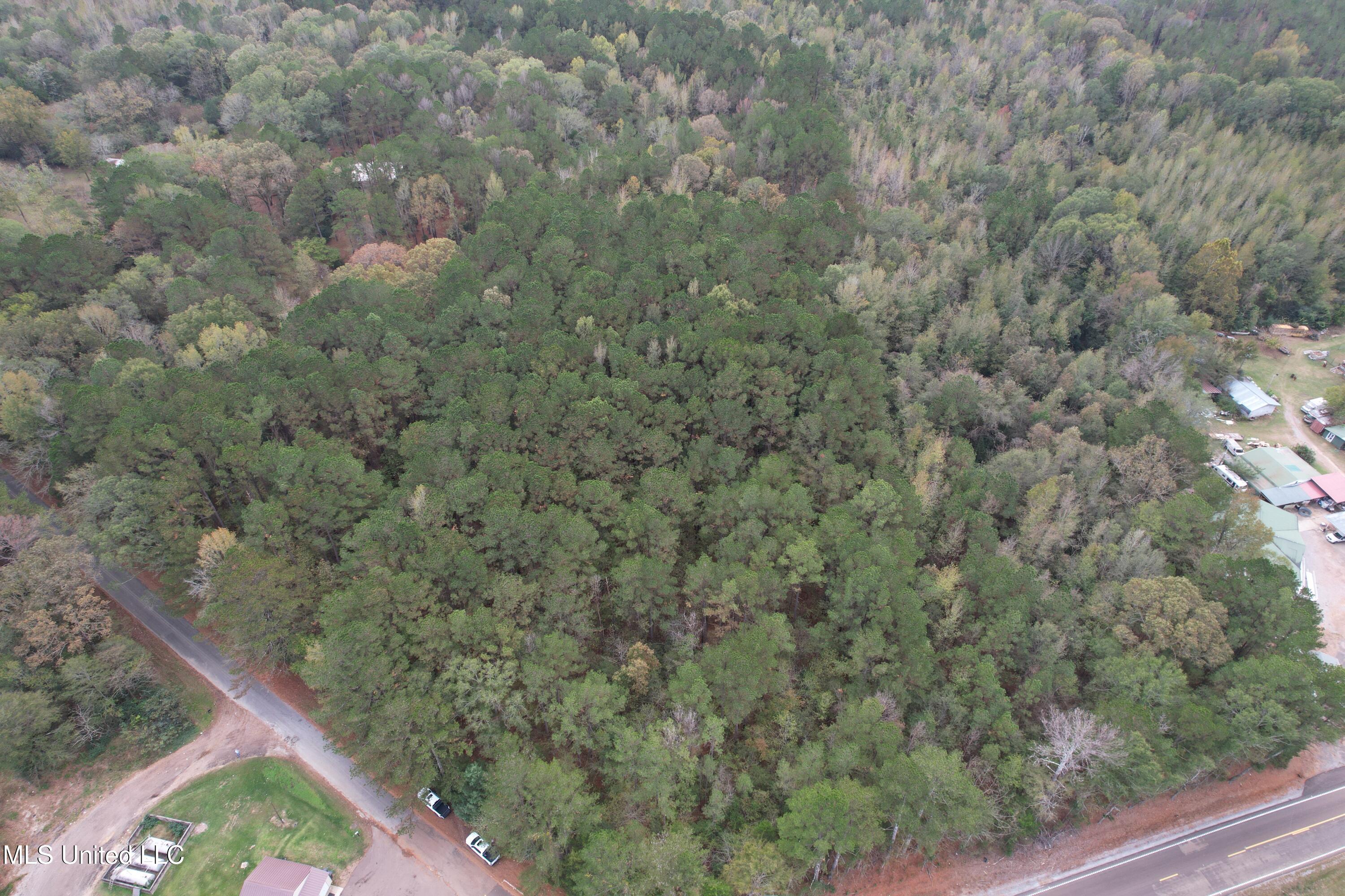 Highway 16 Property Photo 6