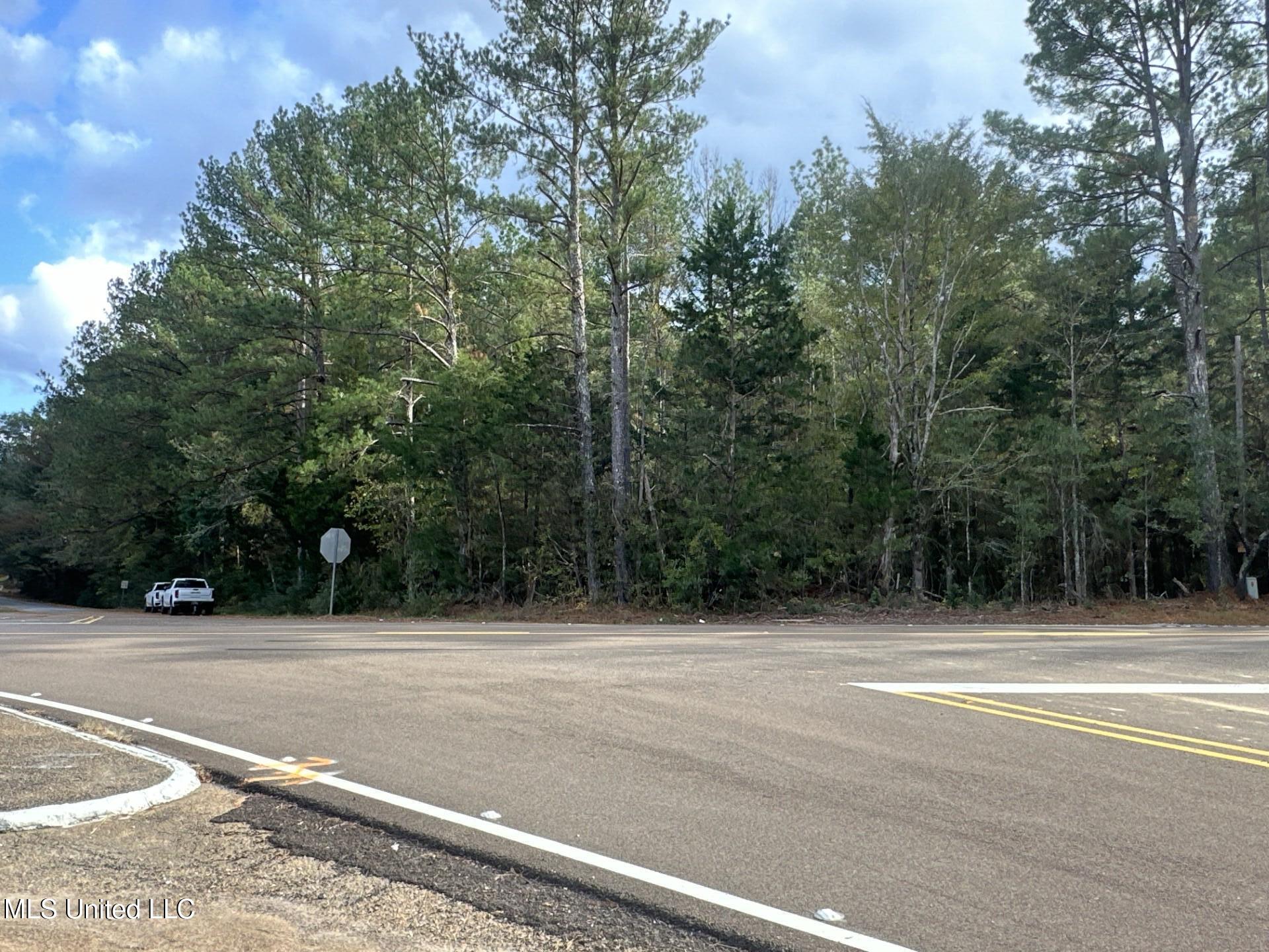 Highway 16 Property Photo 9