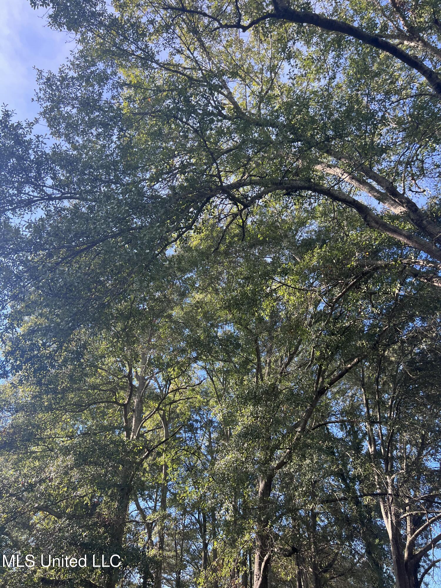 Unassigned Hines Ln Property Photo 1