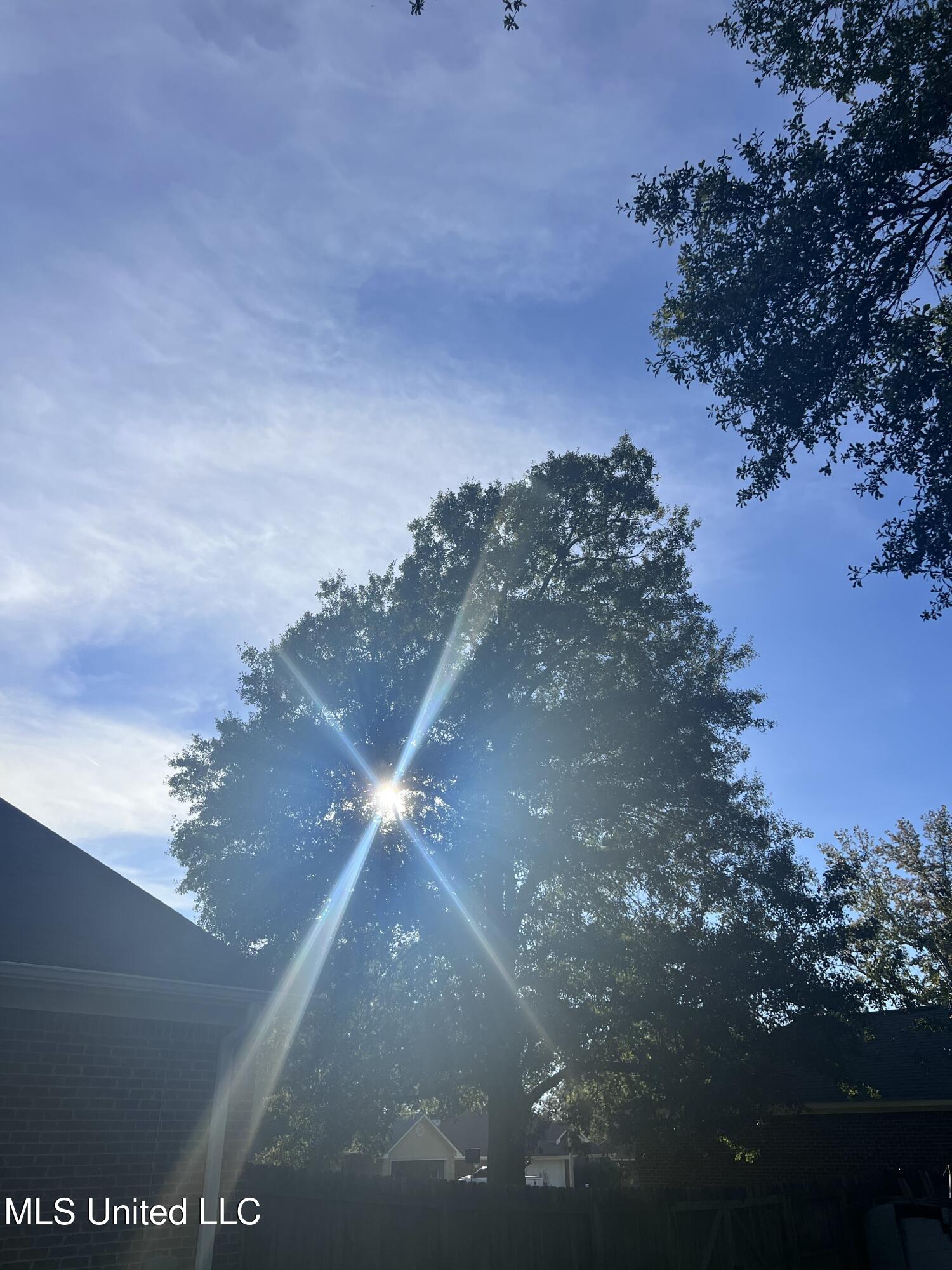 Unassigned Hines Ln Property Photo 2