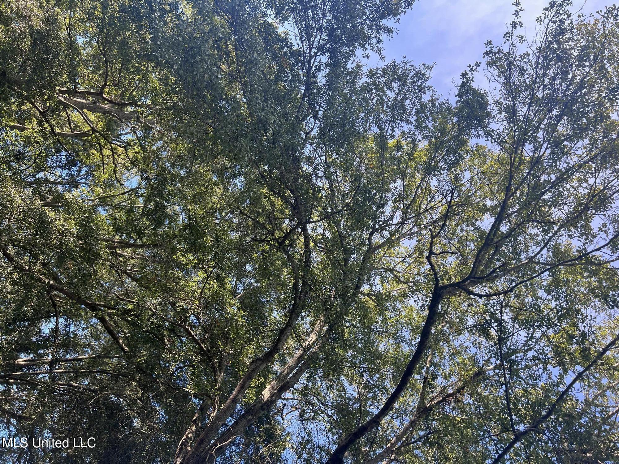 Unassigned Hines Ln Property Photo 3