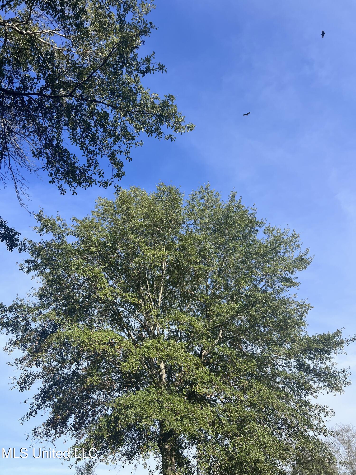 Unassigned Hines Ln Property Photo 4