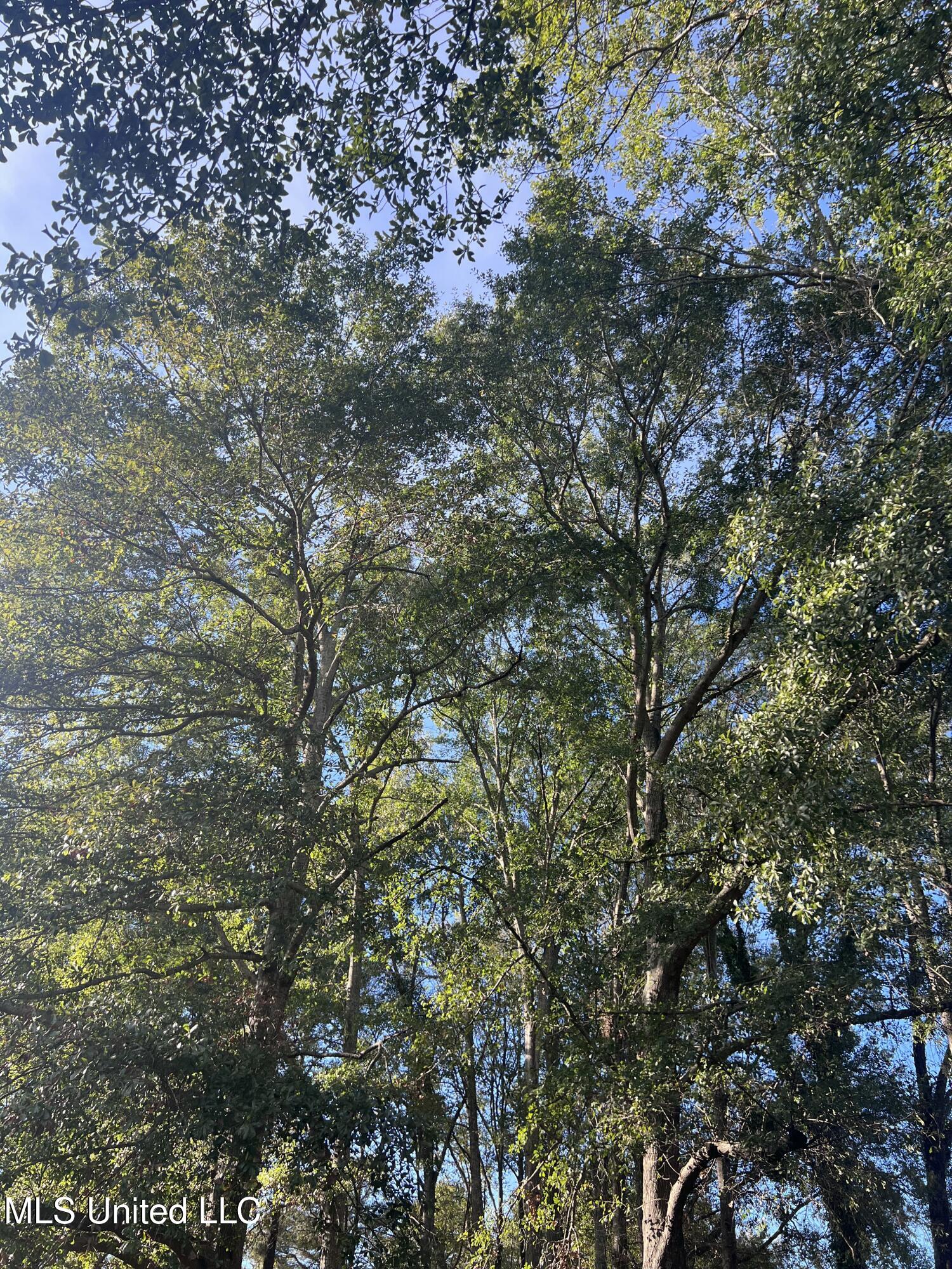 Unassigned Hines Ln Property Photo 5