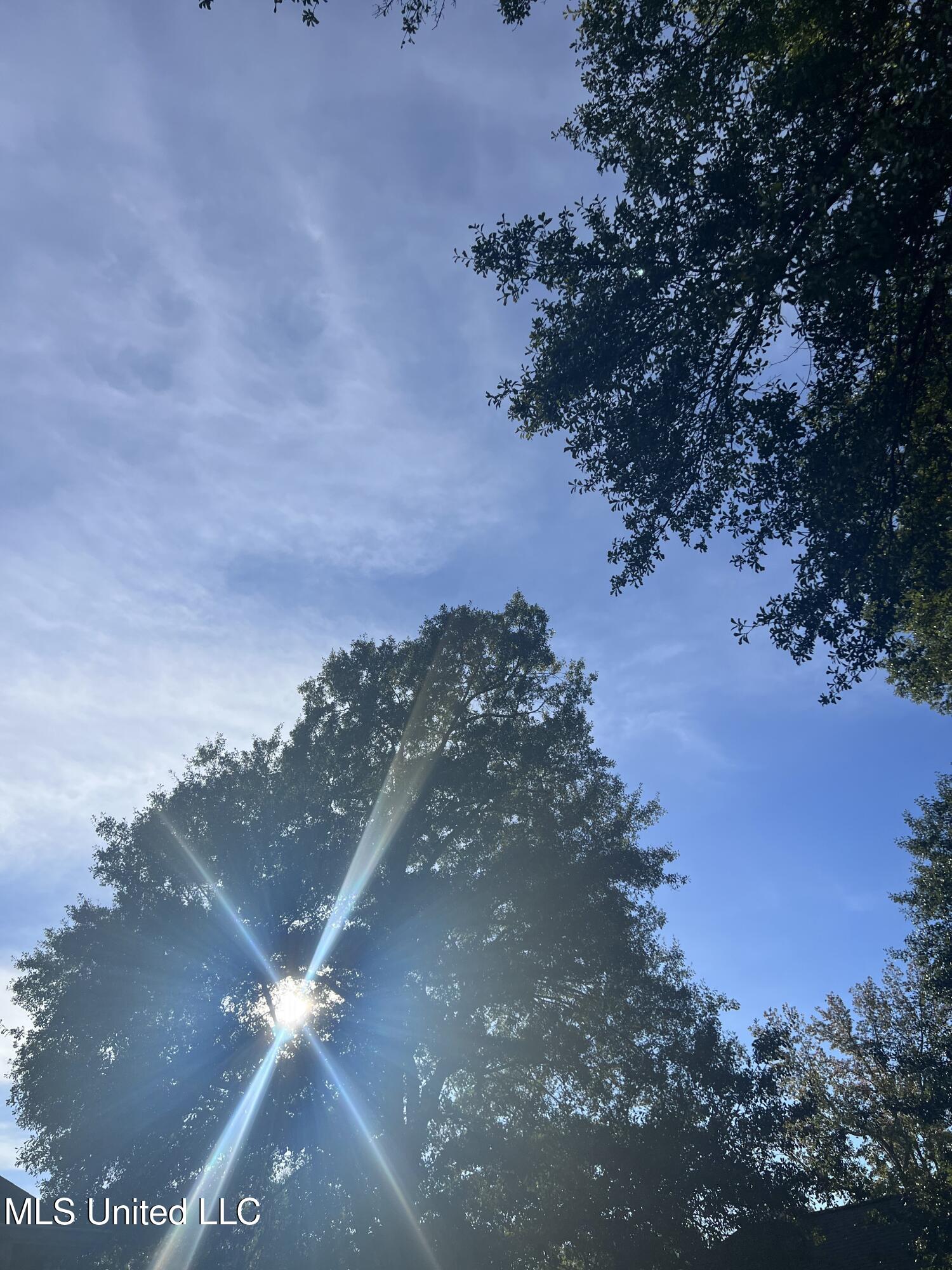 Unassigned Hines Ln Property Photo 6