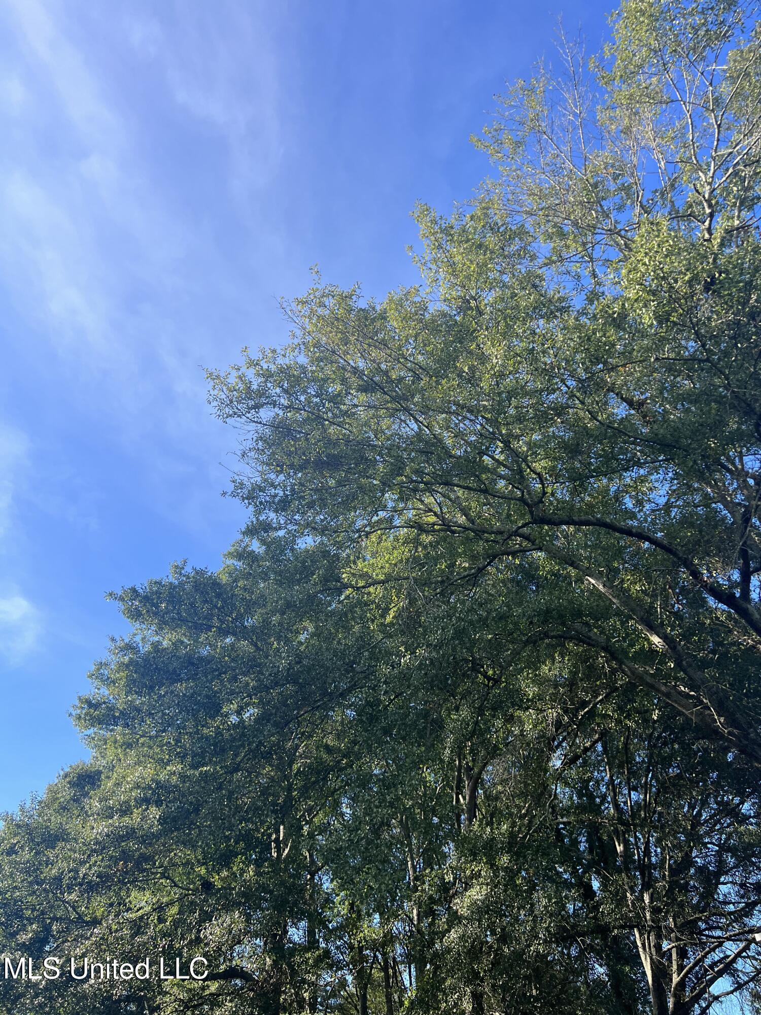 Unassigned Hines Ln Property Photo 7