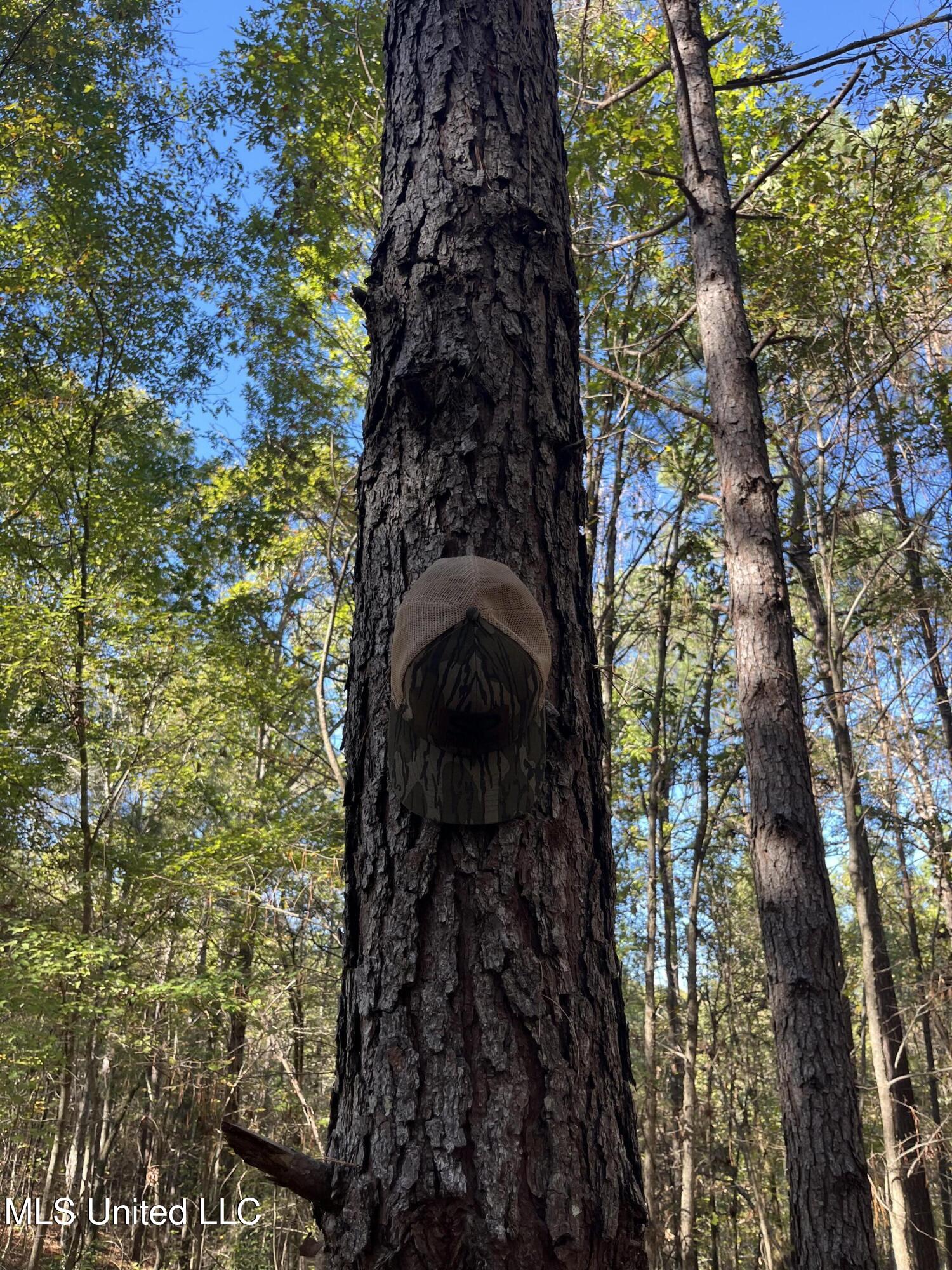 0 Carver Point Road Property Photo 20