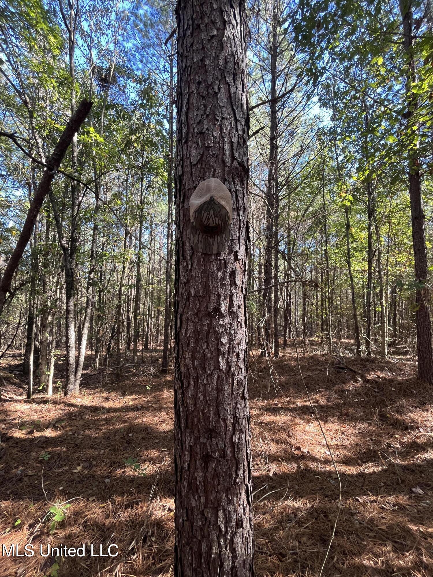 0 Carver Point Road Property Photo 29