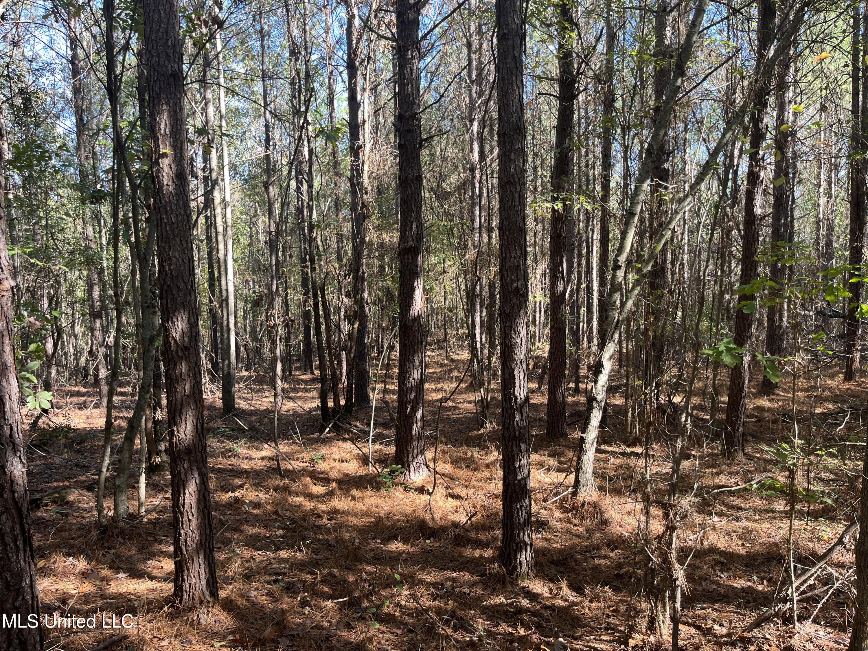 0 Carver Point Road Property Photo 30