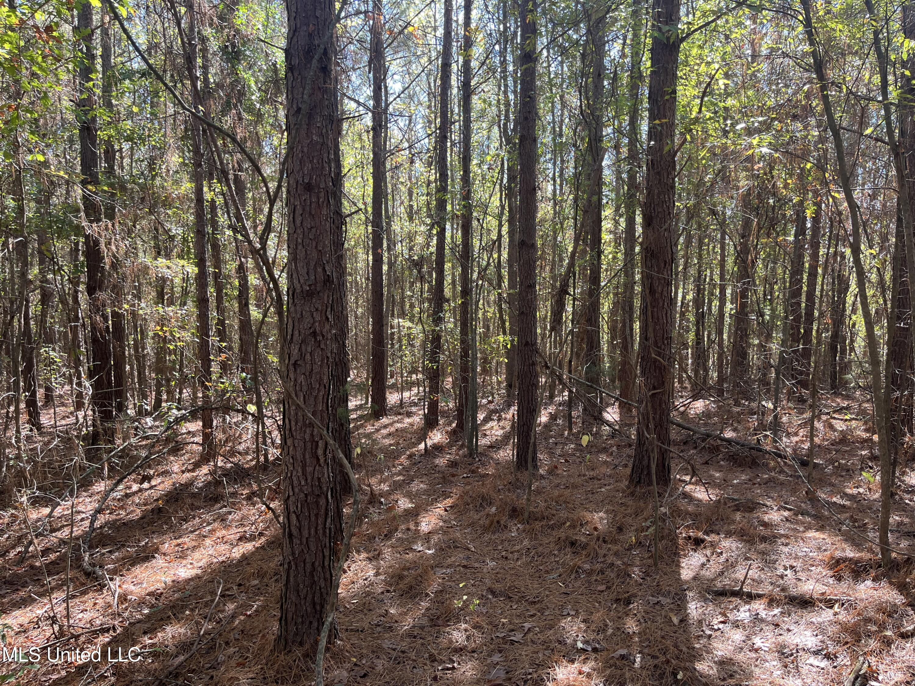 0 Carver Point Road Property Photo 31