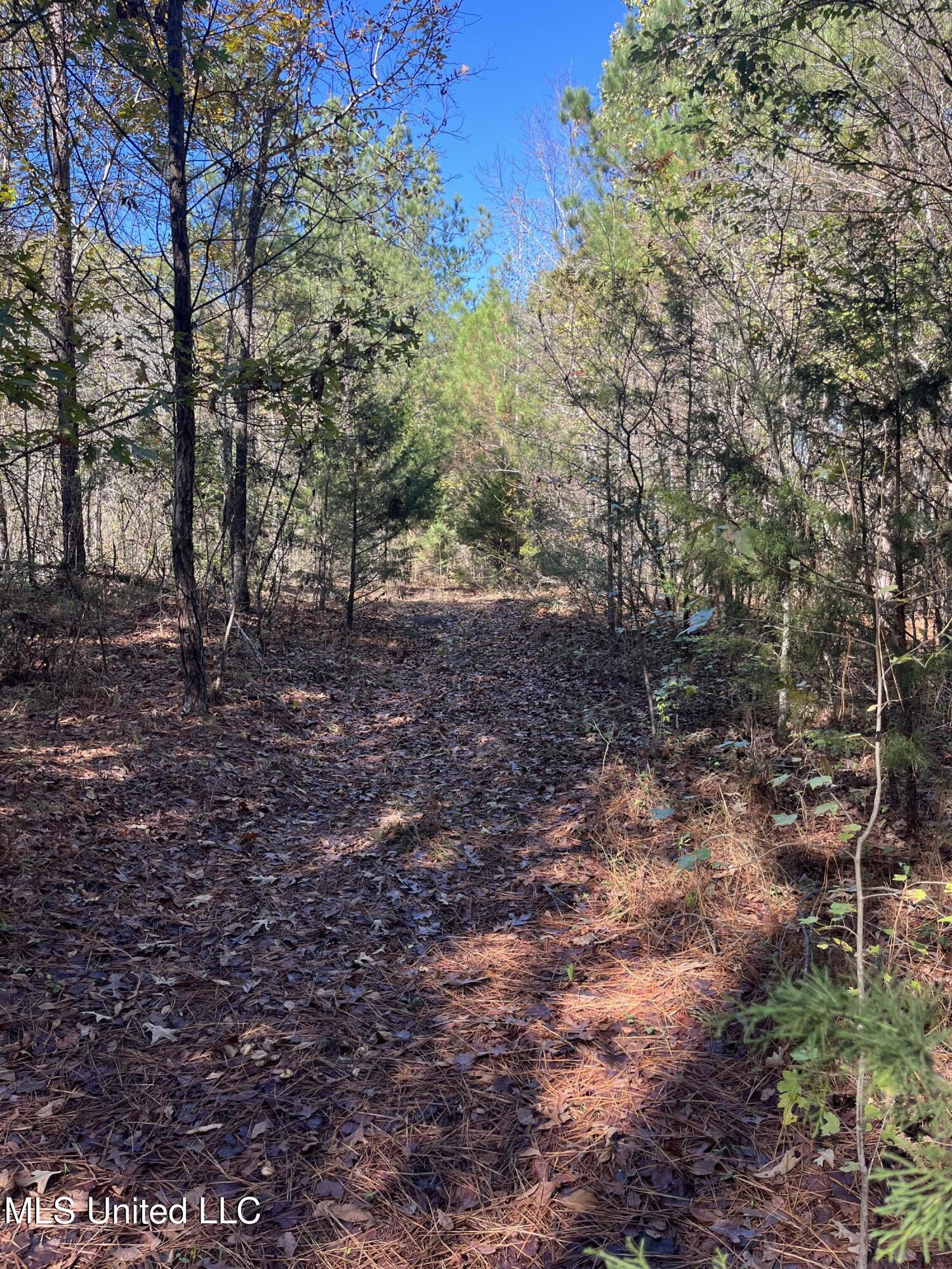 0 Carver Point Road Property Photo 32