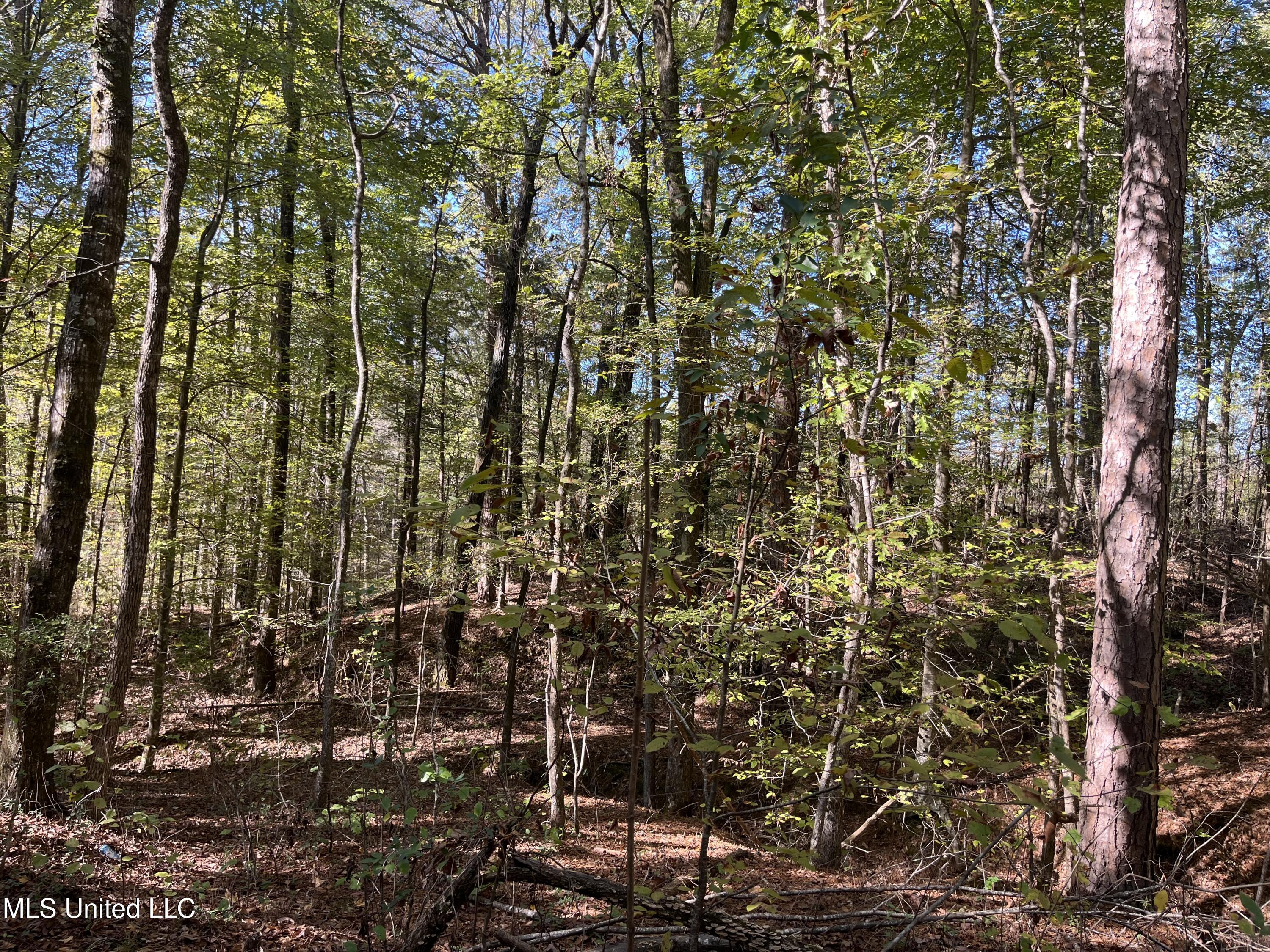 0 Carver Point Road Property Photo 41