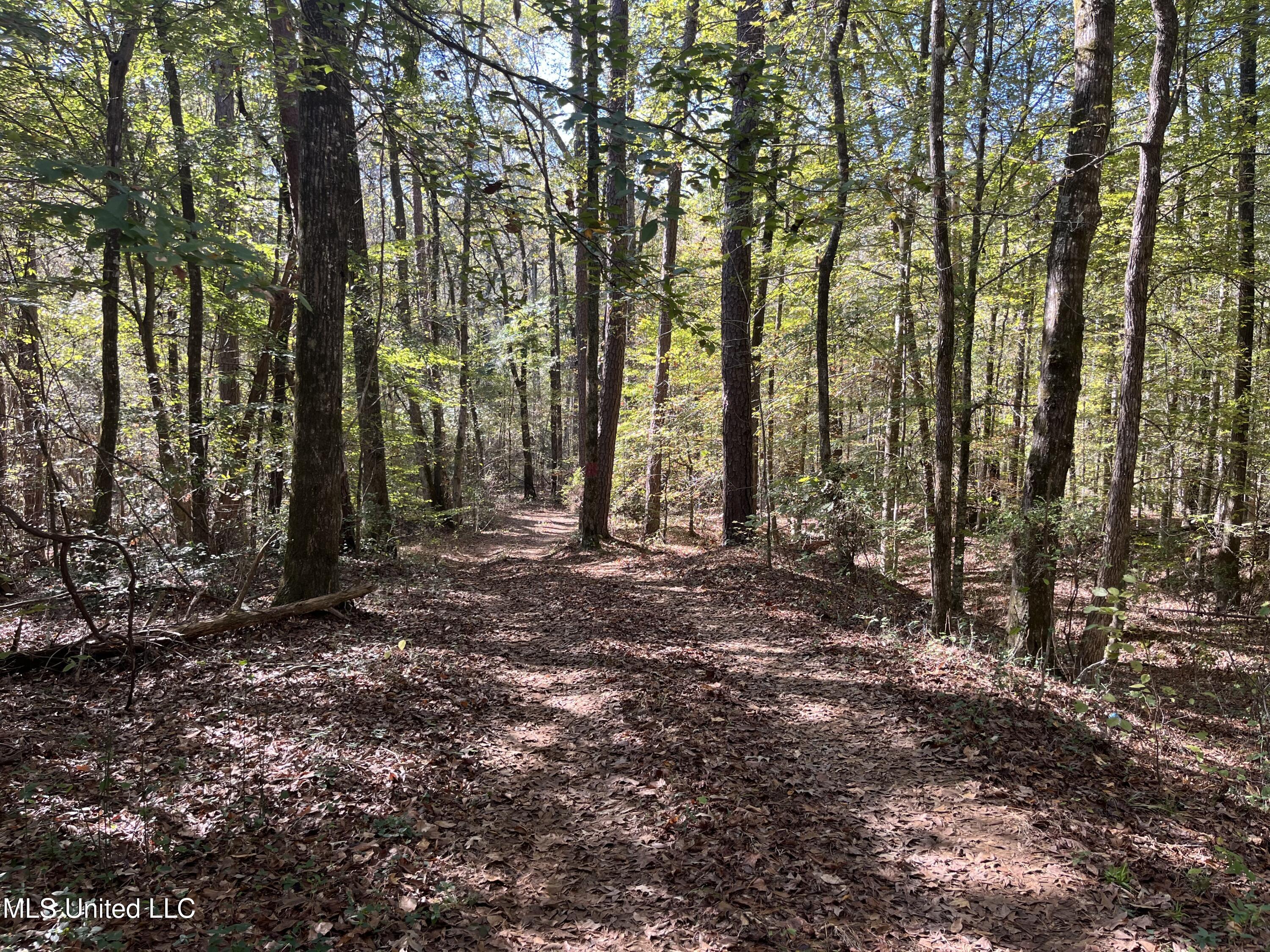 0 Carver Point Road Property Photo 42