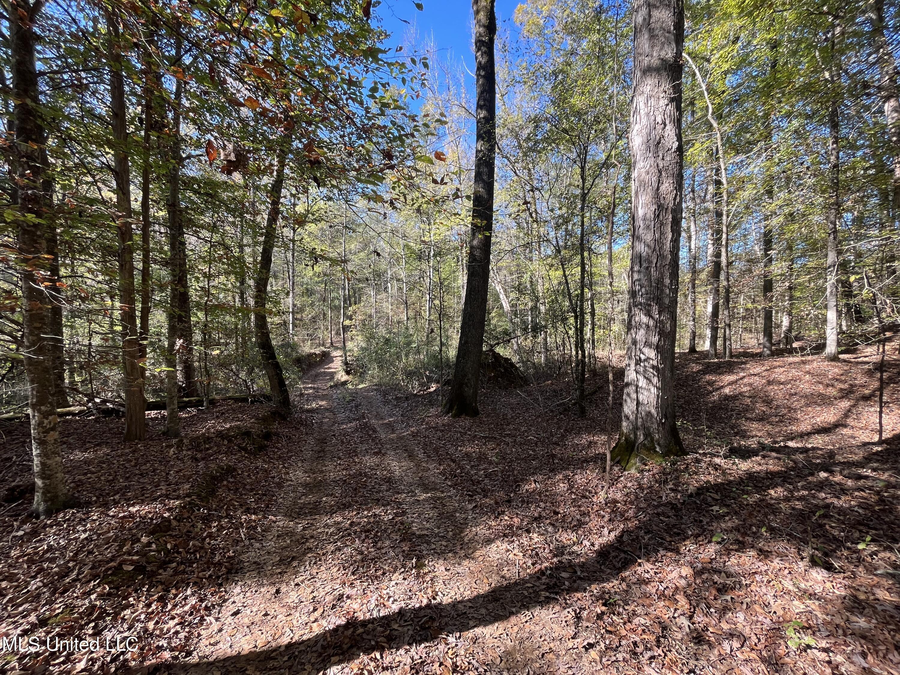 0 Carver Point Road Property Photo 43