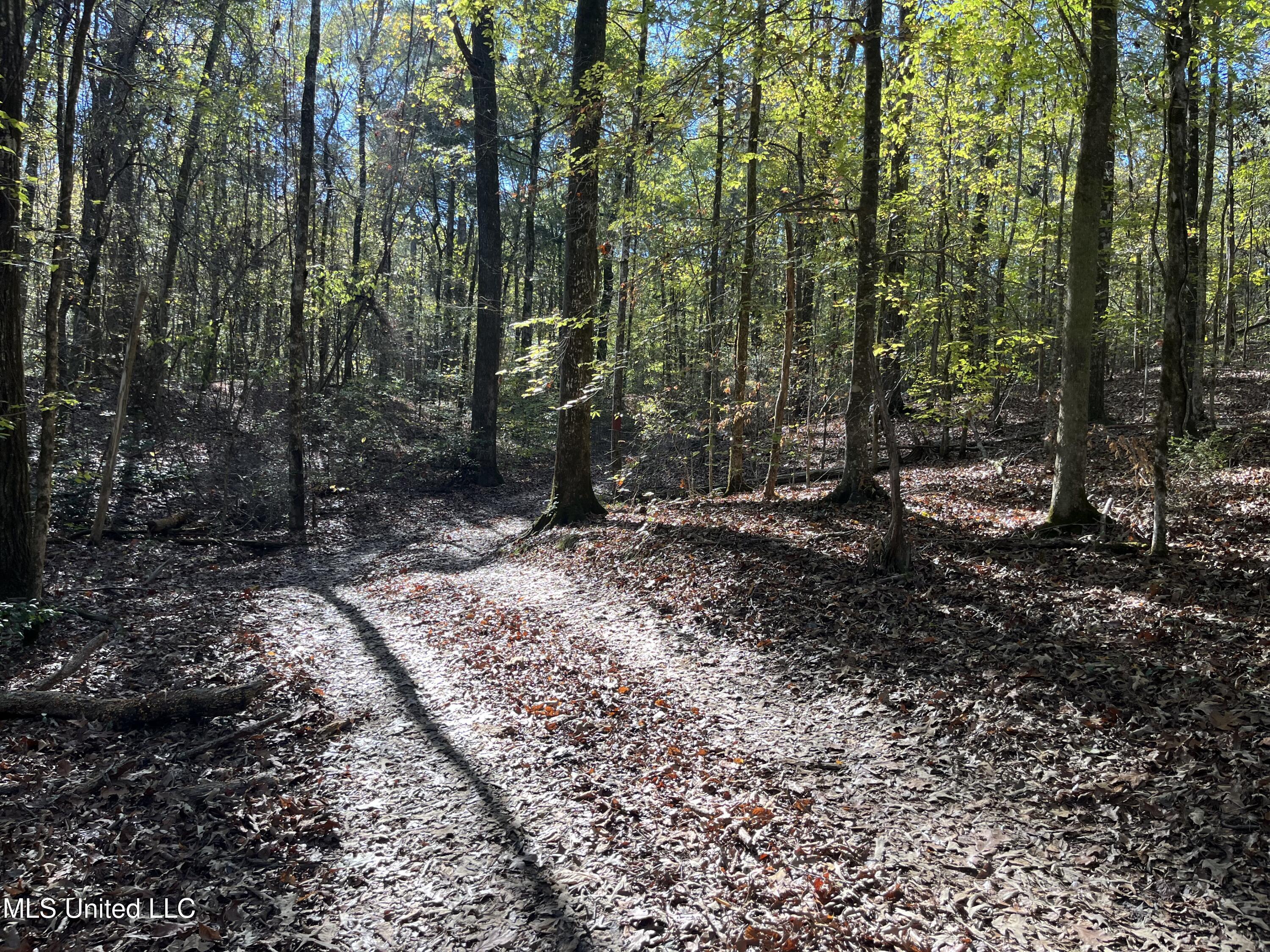 0 Carver Point Road Property Photo 44