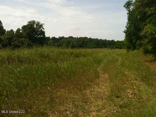 River Terminal Road Property Photo 3