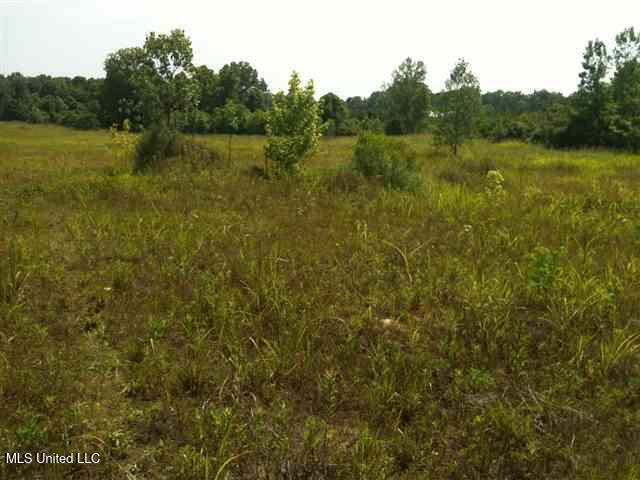 River Terminal Road Property Photo 4