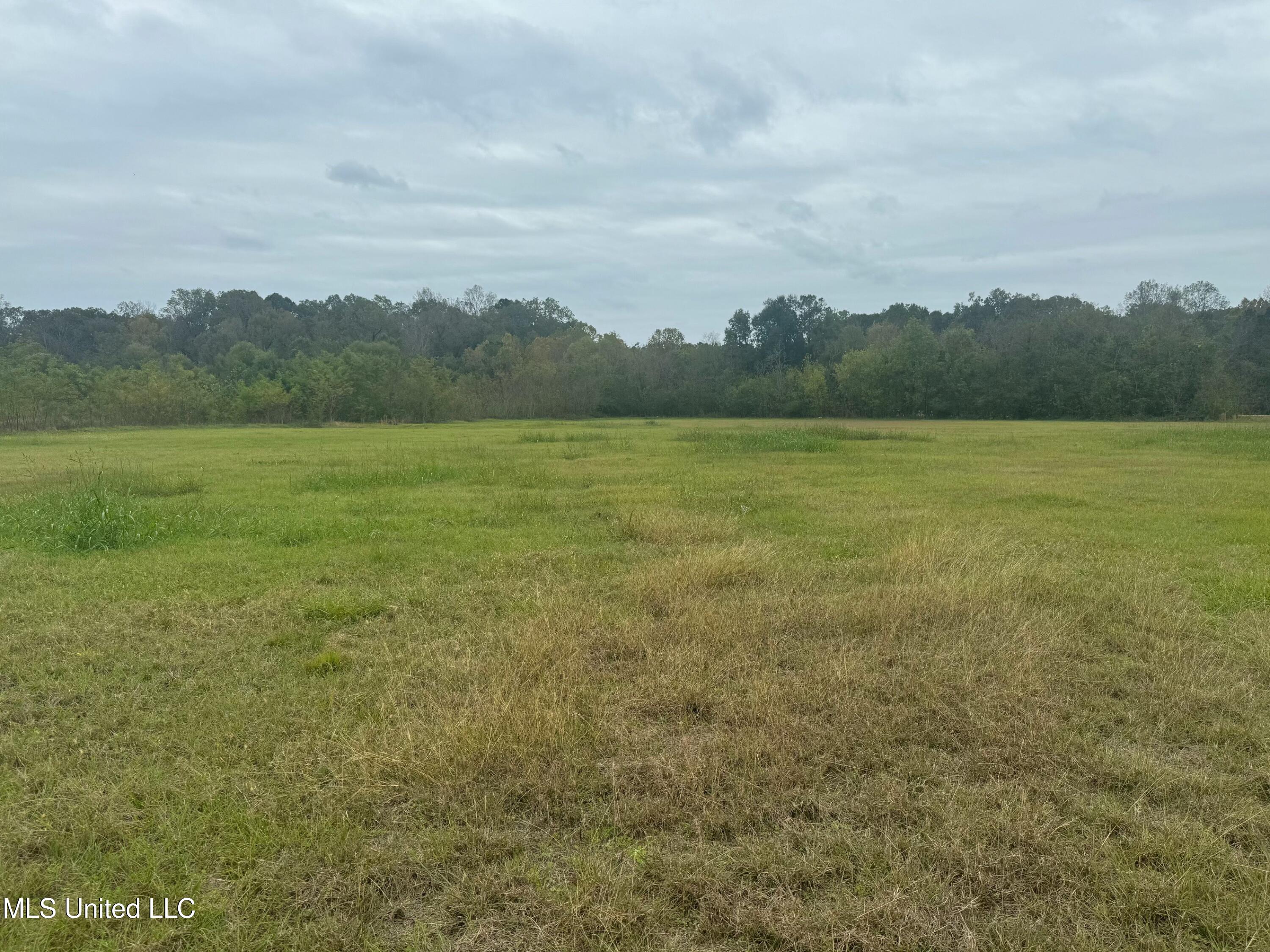 Hwy 84 Property Photo 4