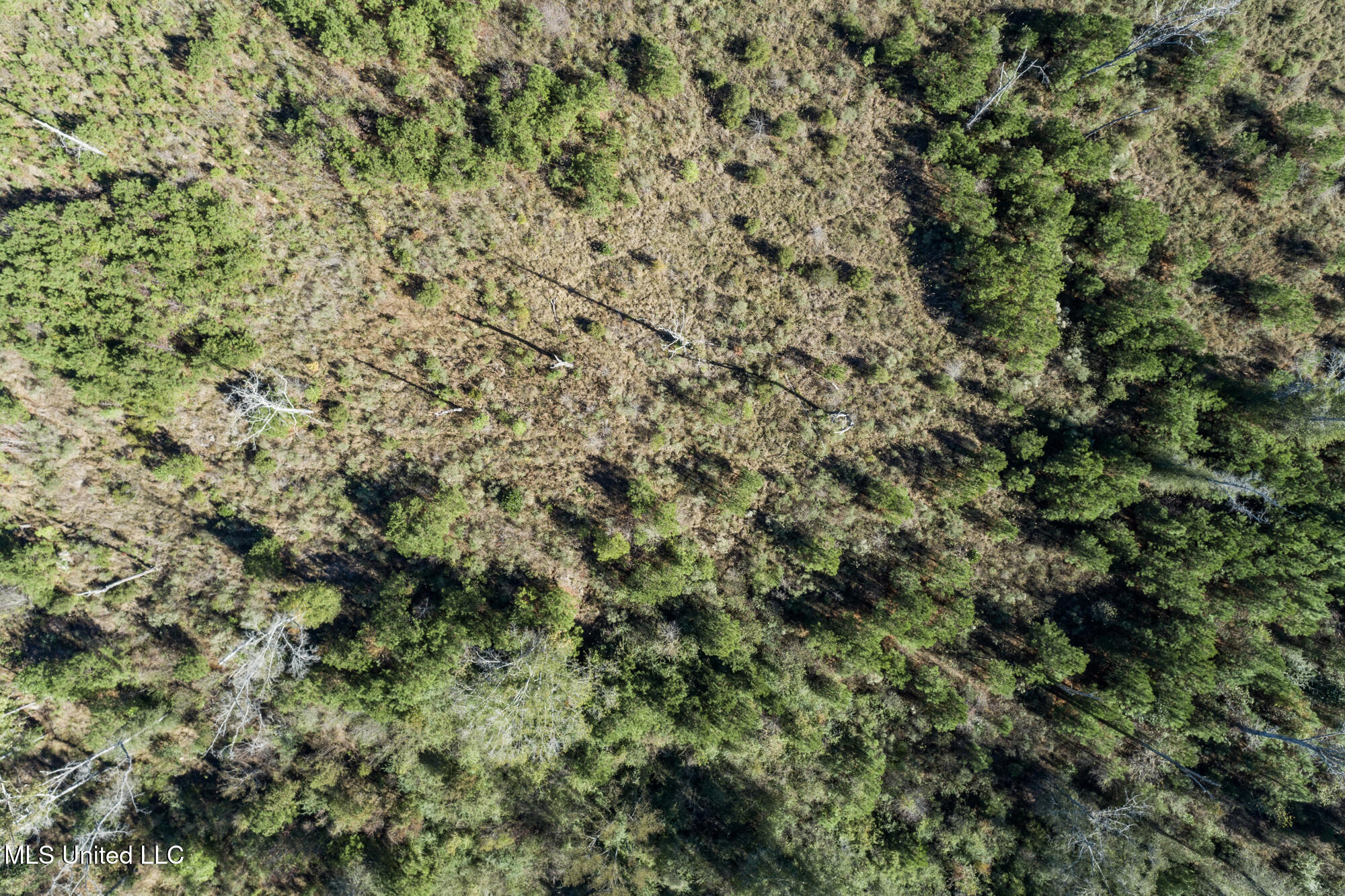 111 Ms-44 Property Photo 8