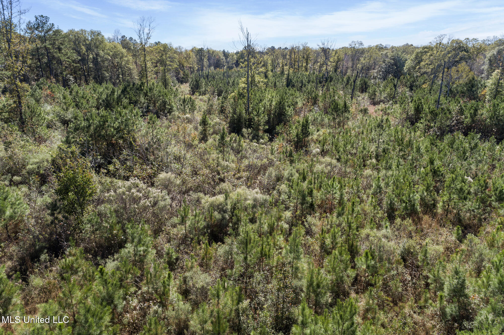 111 Ms-44 Property Photo 10