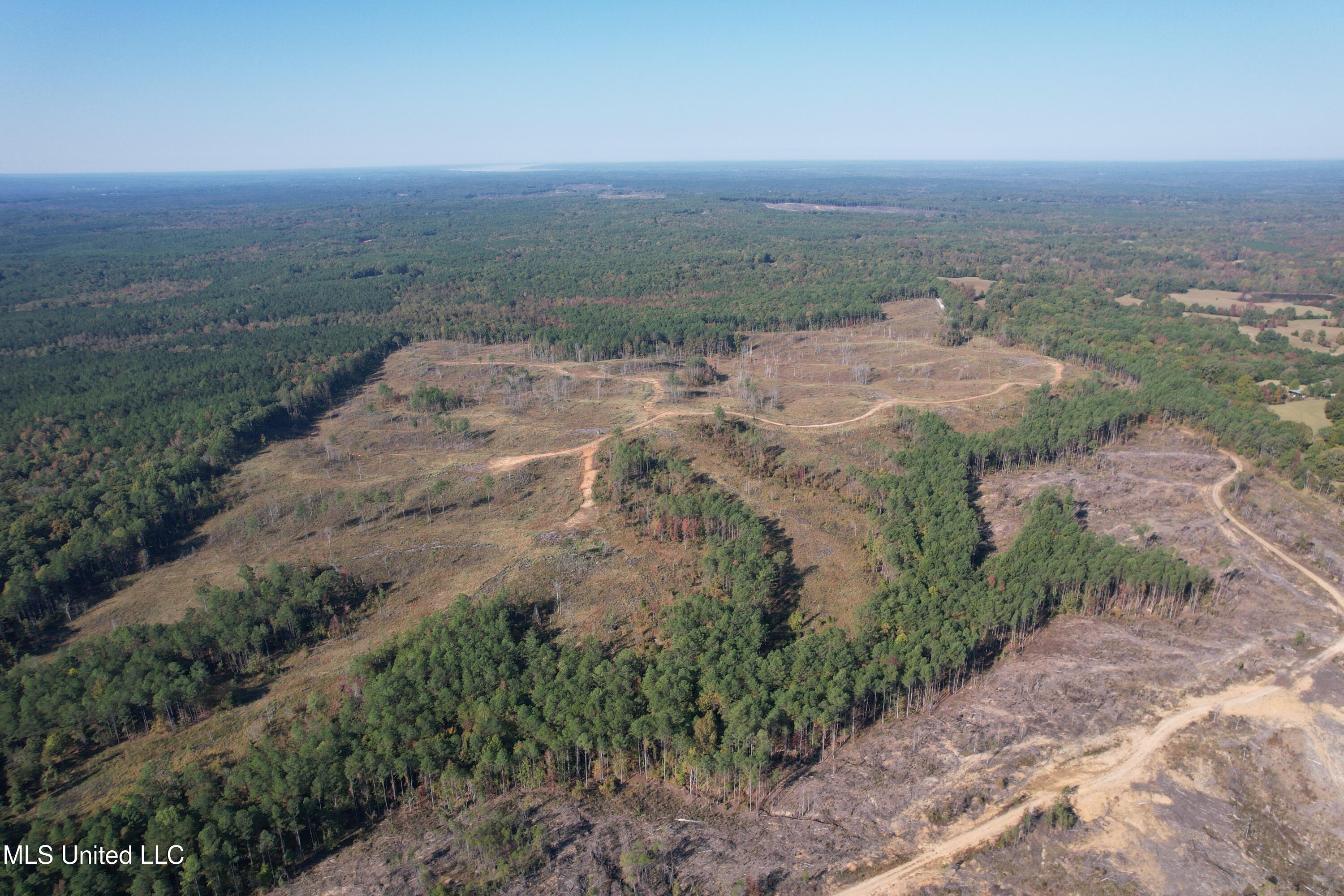 Off Highway 315 Property Photo 2