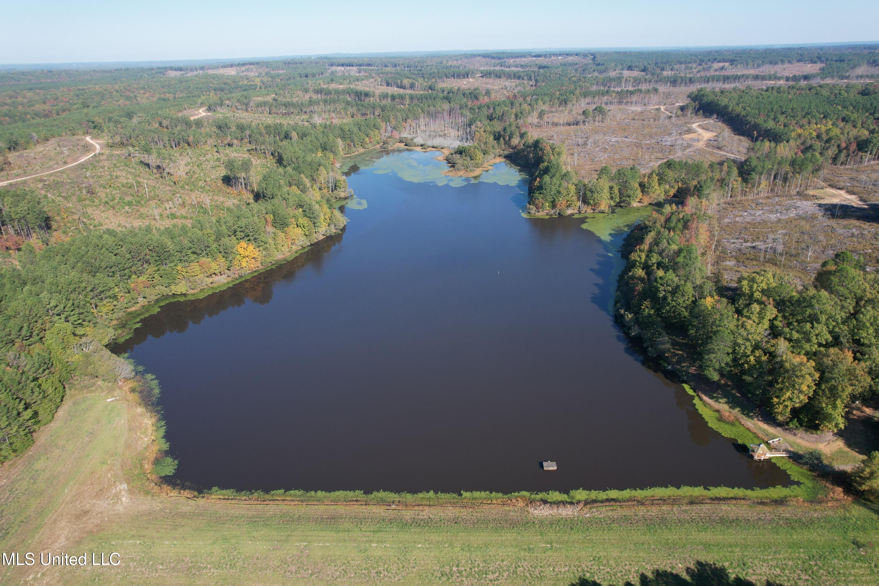 Off Highway 315 Property Photo 4