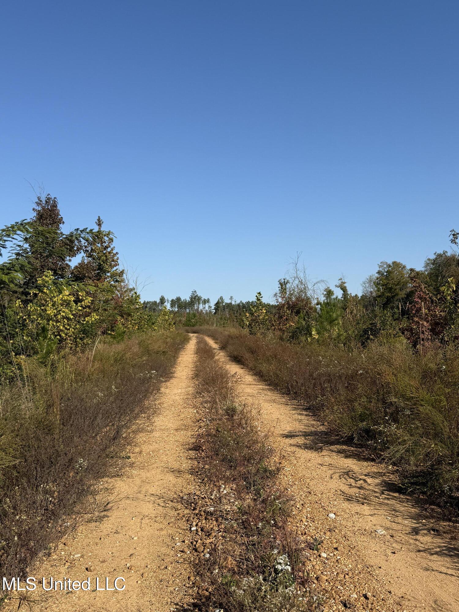 Off Highway 315 Property Photo 6