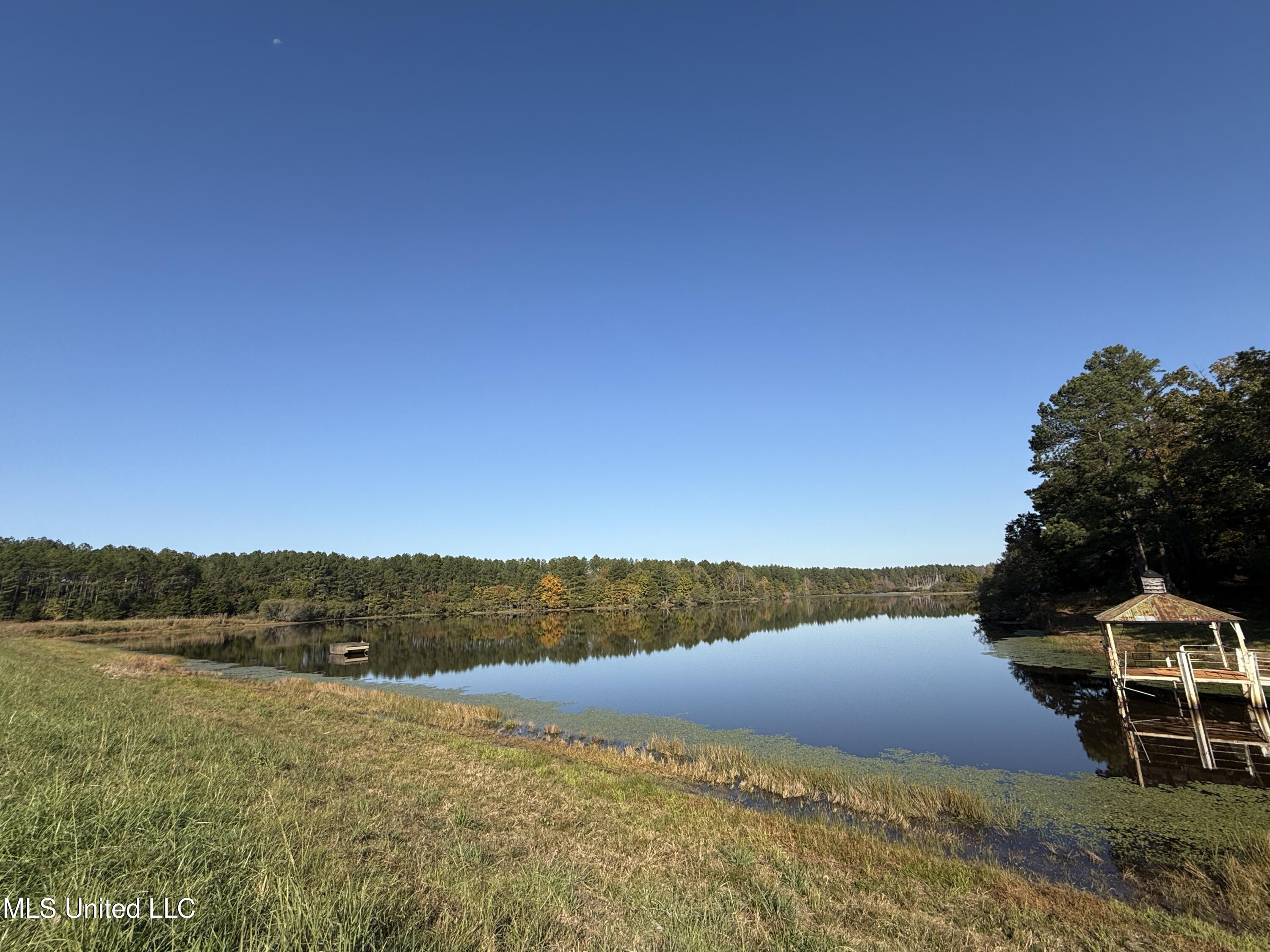 Off Highway 315 Property Photo 7