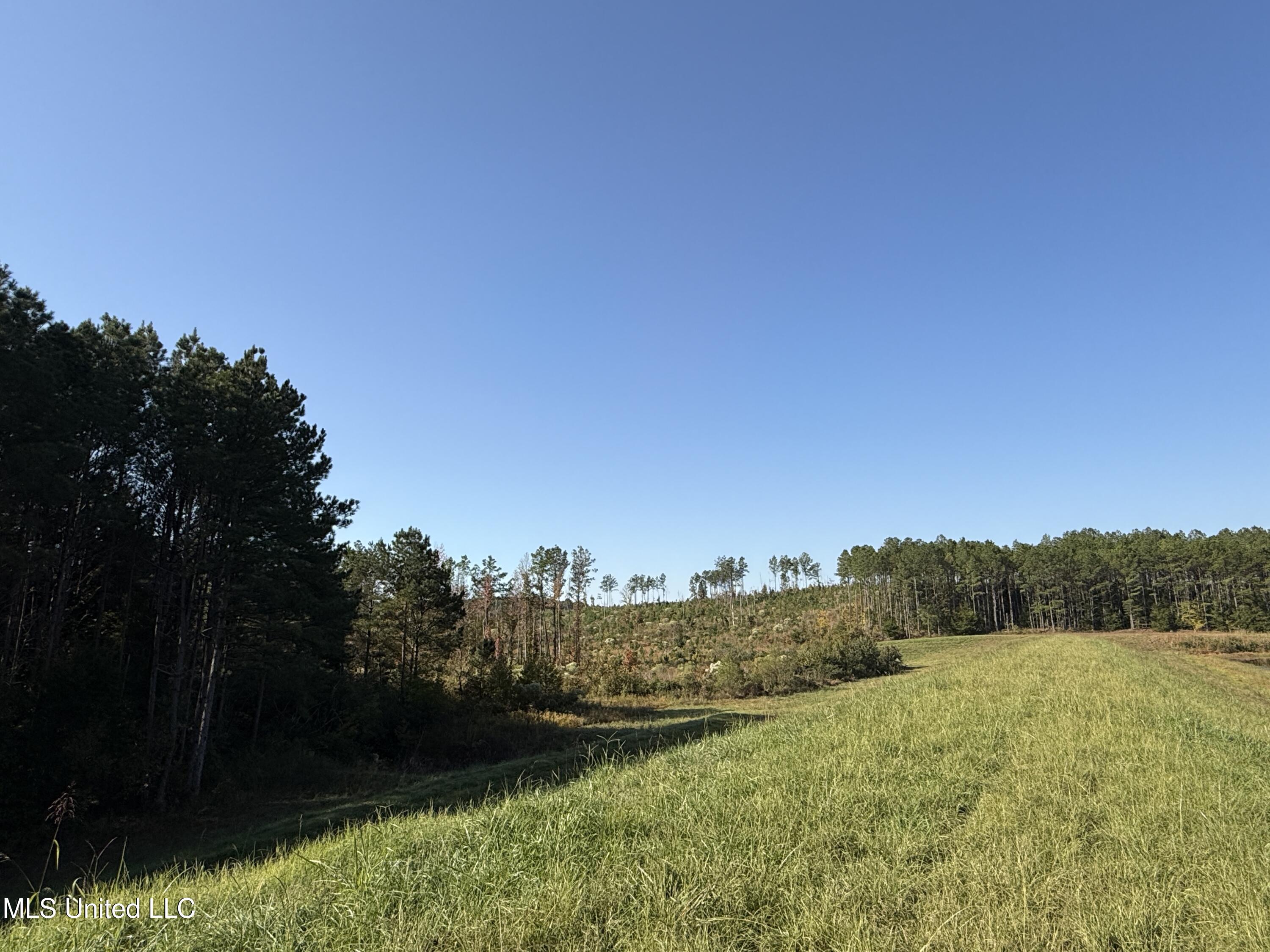 Off Highway 315 Property Photo 8