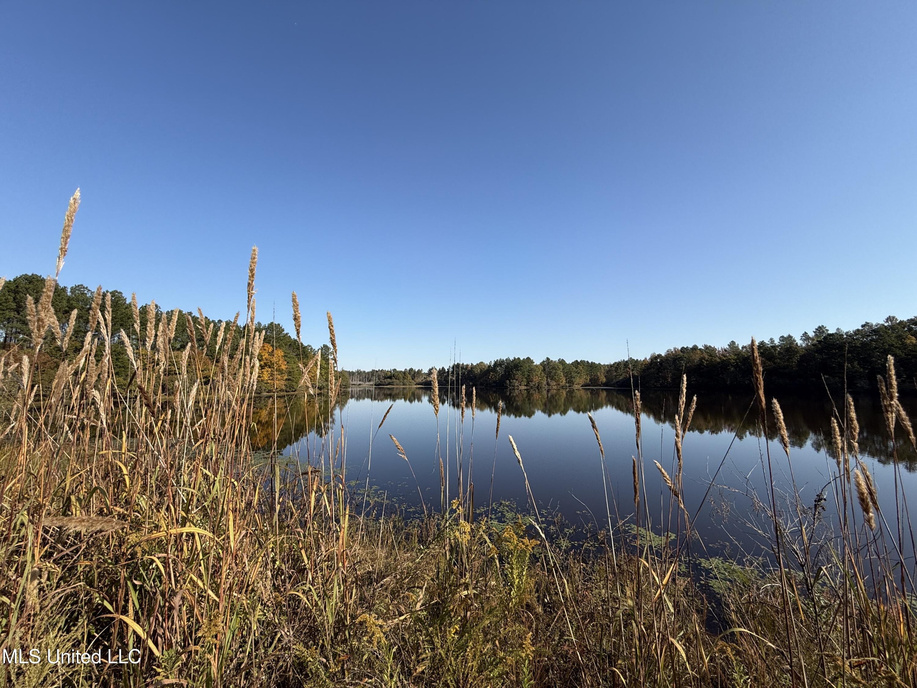 Off Highway 315 Property Photo 10