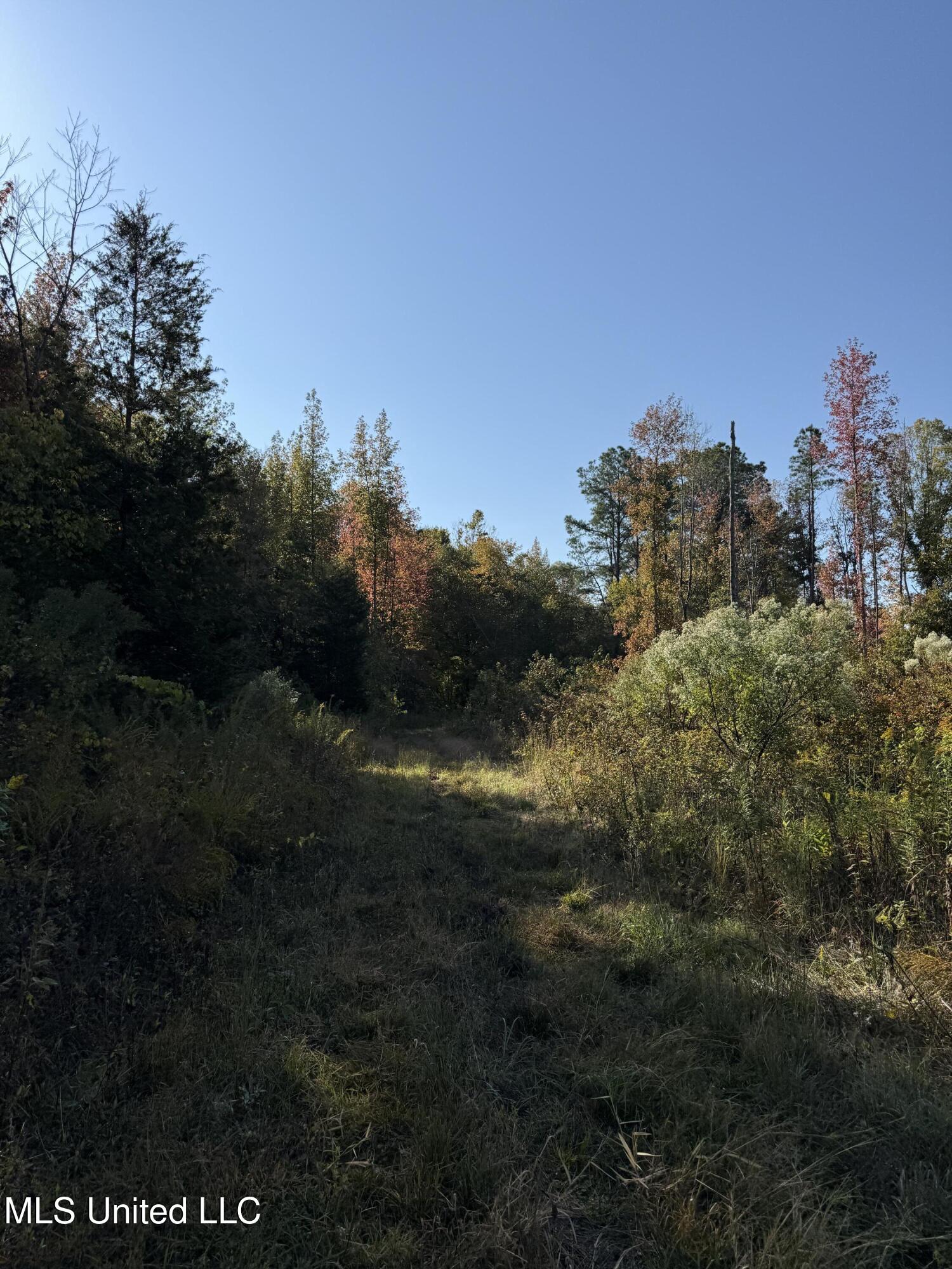 Off Highway 315 Property Photo 11