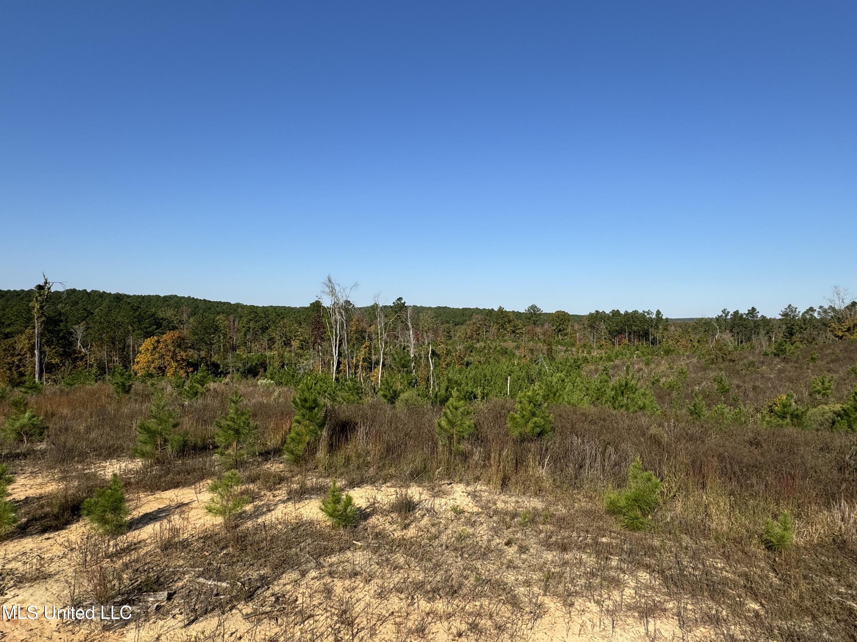 Off Highway 315 Property Photo 13