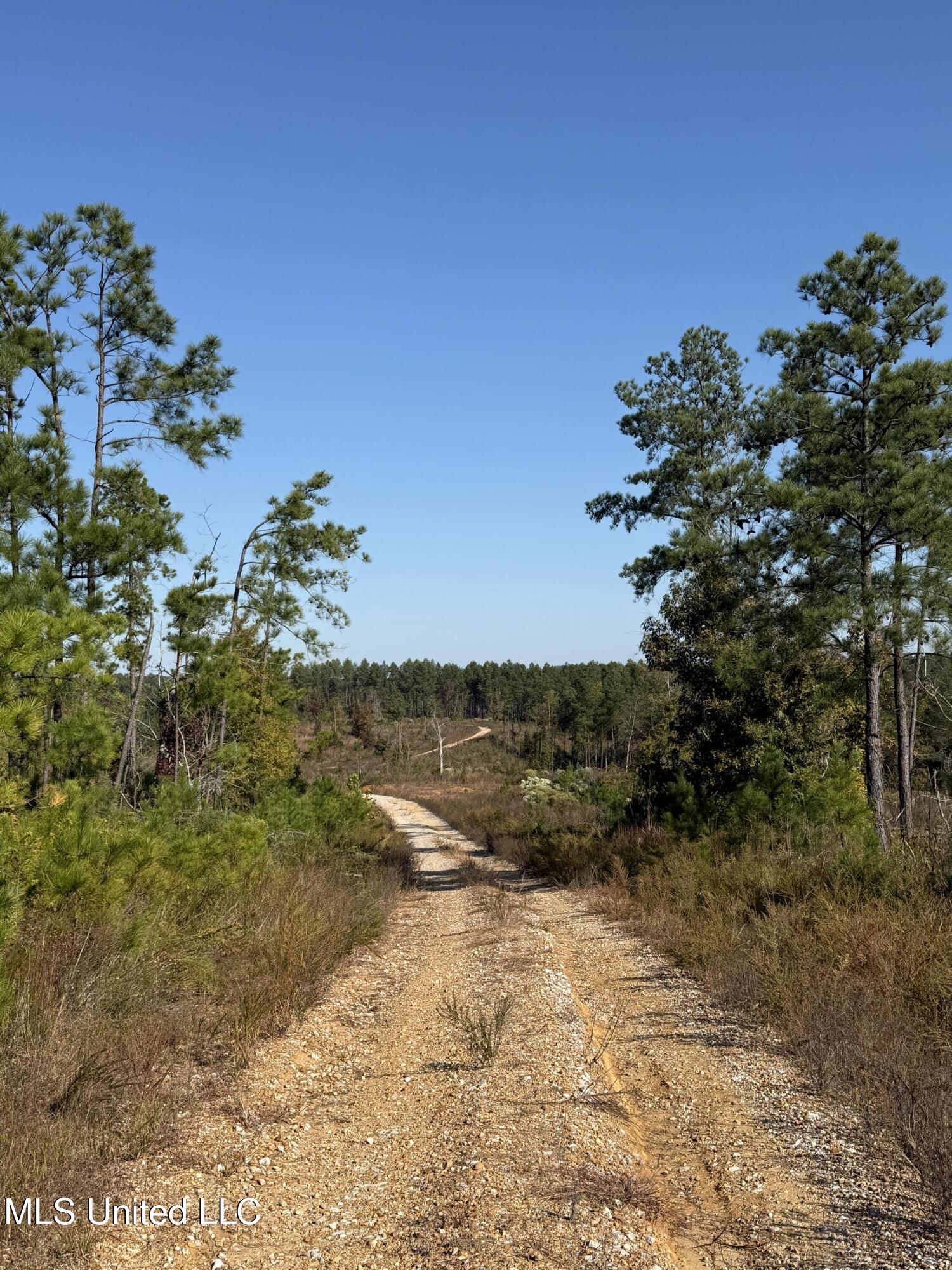 Off Highway 315 Property Photo 14