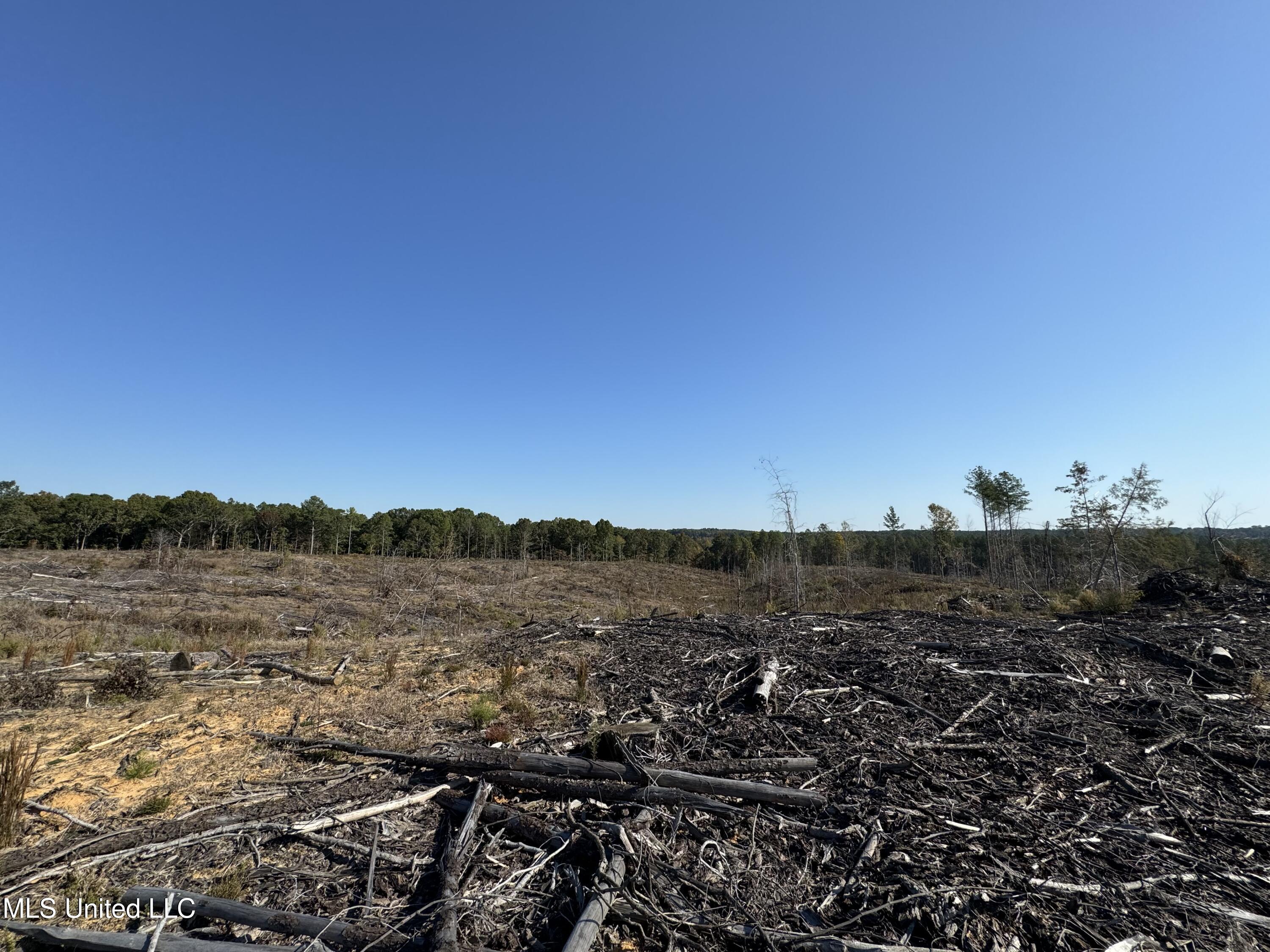 Off Highway 315 Property Photo 15