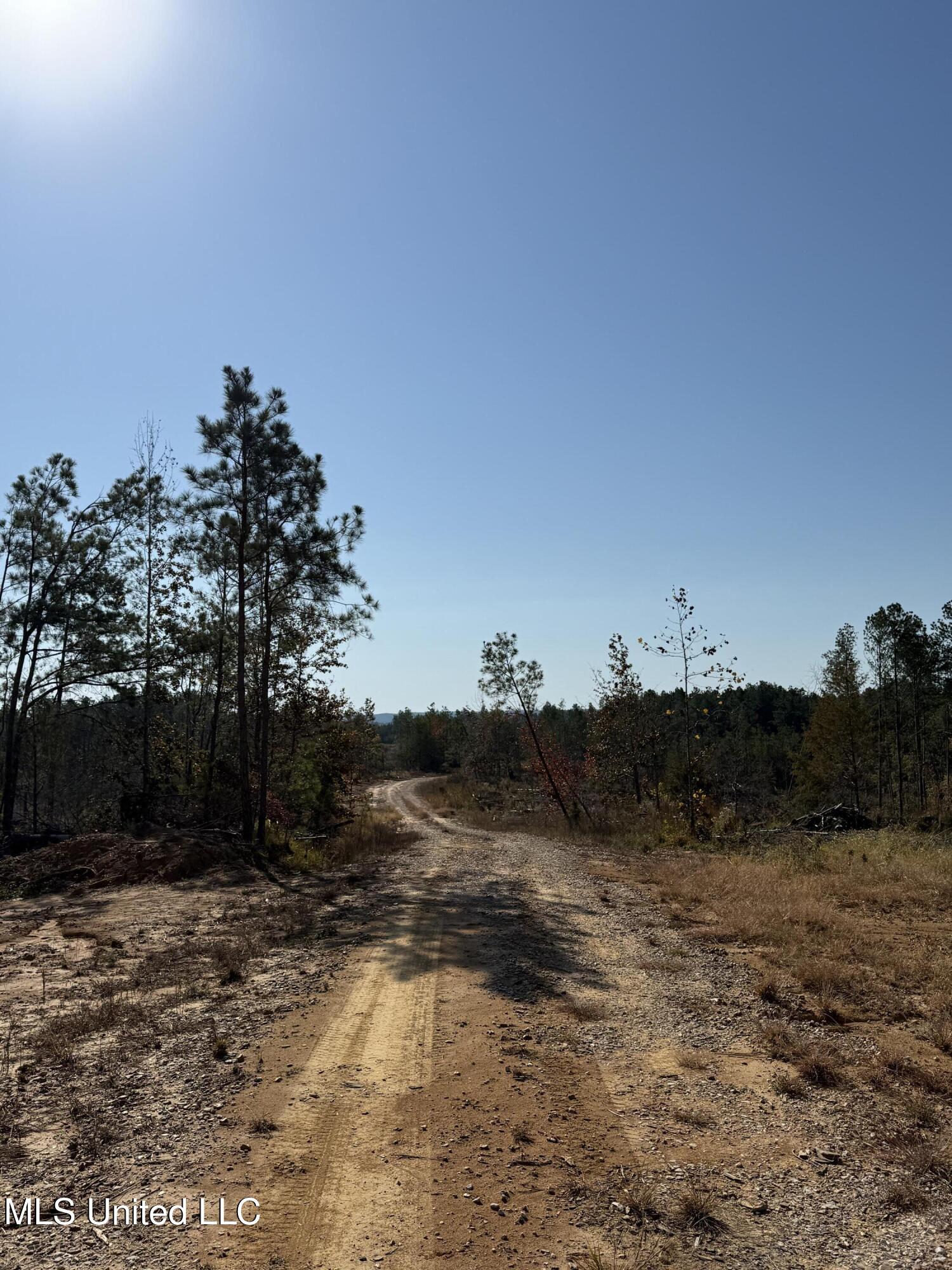 Off Highway 315 Property Photo 16